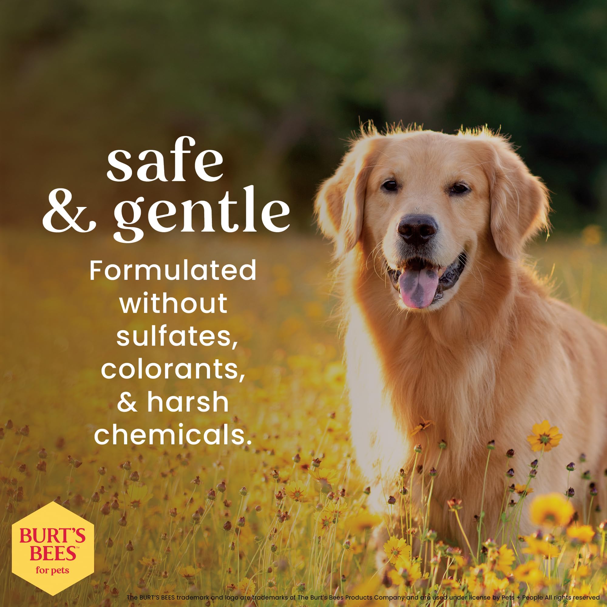 Burt'S Bees For Pets Deodorizing Dog Wipes With Witch Hazel, Lemongrass And Sage Fragrance, 98% Natural Origin Formulas, Dog Wip