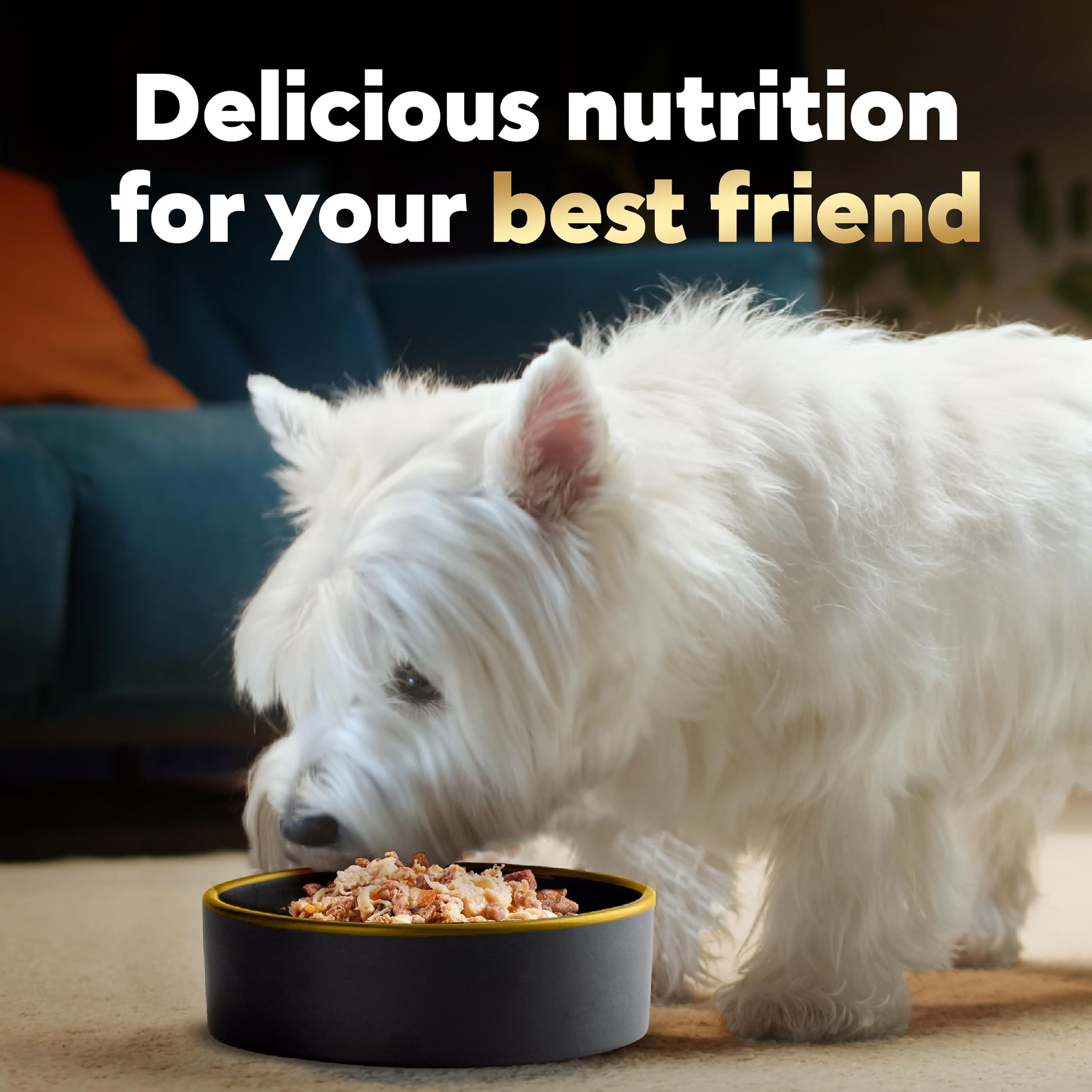 Cesar Wholesome Bowls Adult Wet Dog Food, Beef, Chicken, Purple Potatoes & Carrots, 3 oz. (10 Count, Pack of 1)