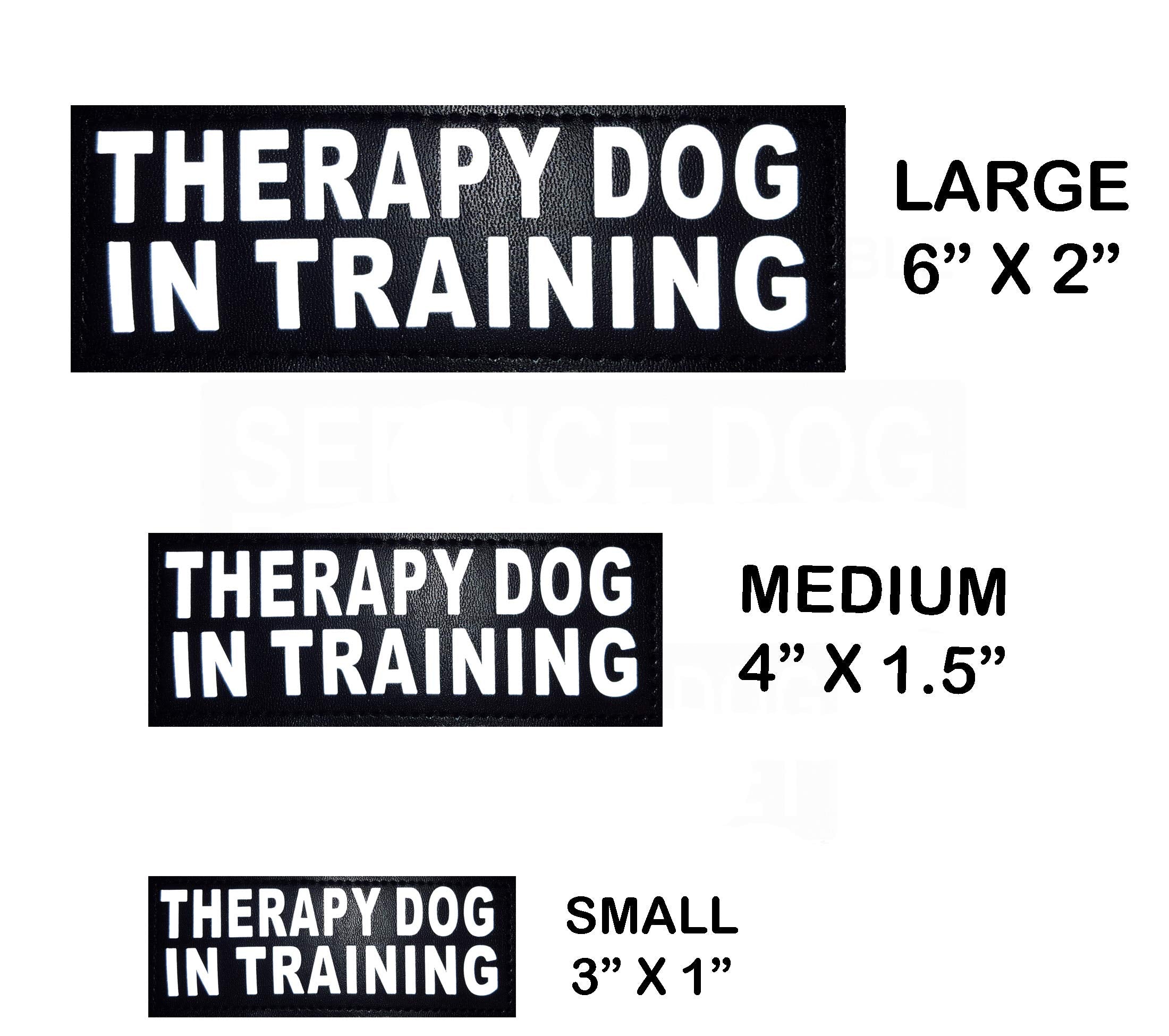 Doggie Stylz Set Of 2 Reflective Therapy Dog In Training Reflective Removable Patches With Hook Backing For Working Dog Harnesses & Vests. 3 Sizes Small, Medium And Large (Small 3'X1')