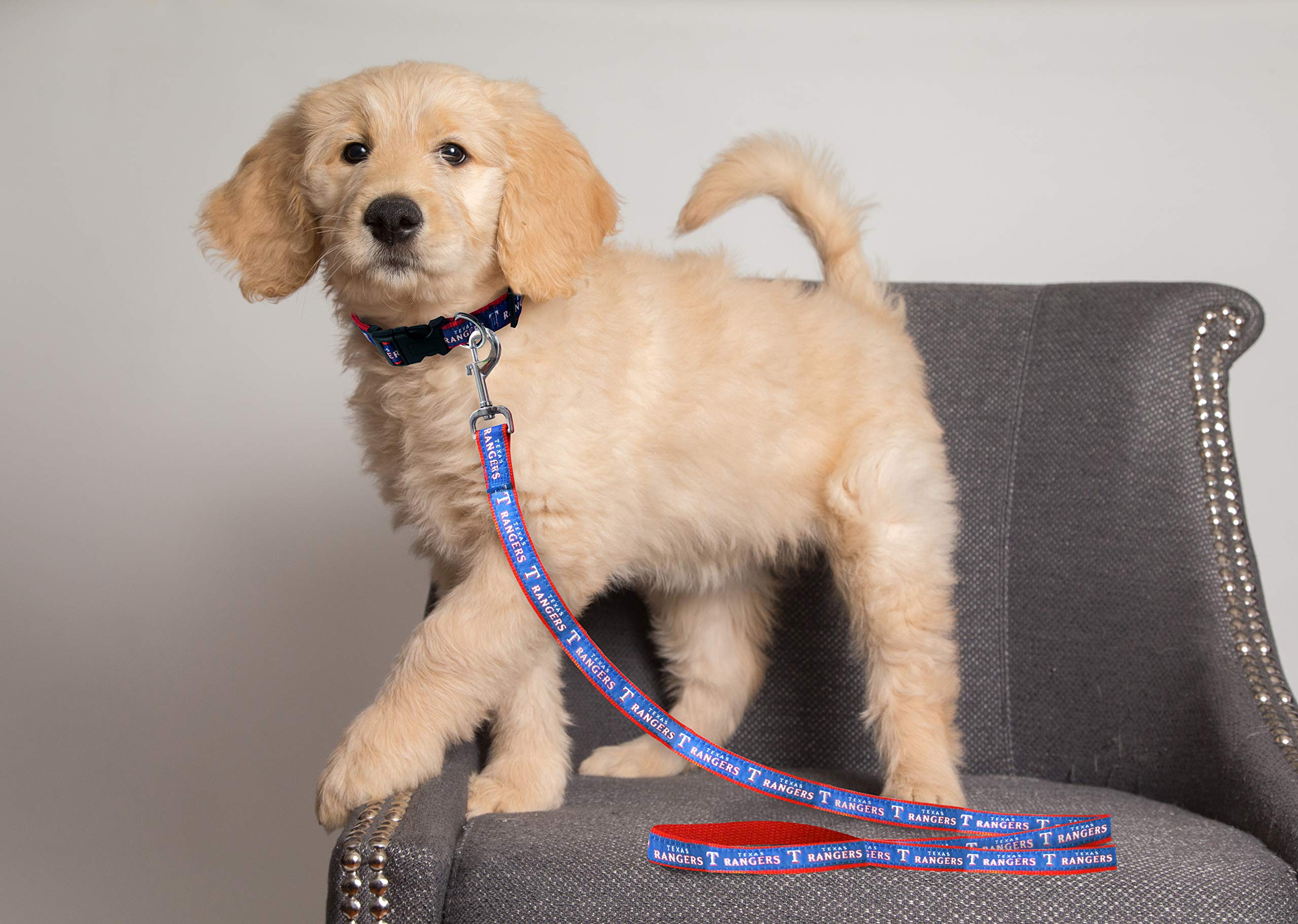 Mlb Pet Leash, Small, Texas Rangers Dog Leash, Baseball Team Leash For Dogs & Cats. A Shiny & Colorful Dog & Cat Leash With Emboridered Team Name/Logo Licensed By The Mlb