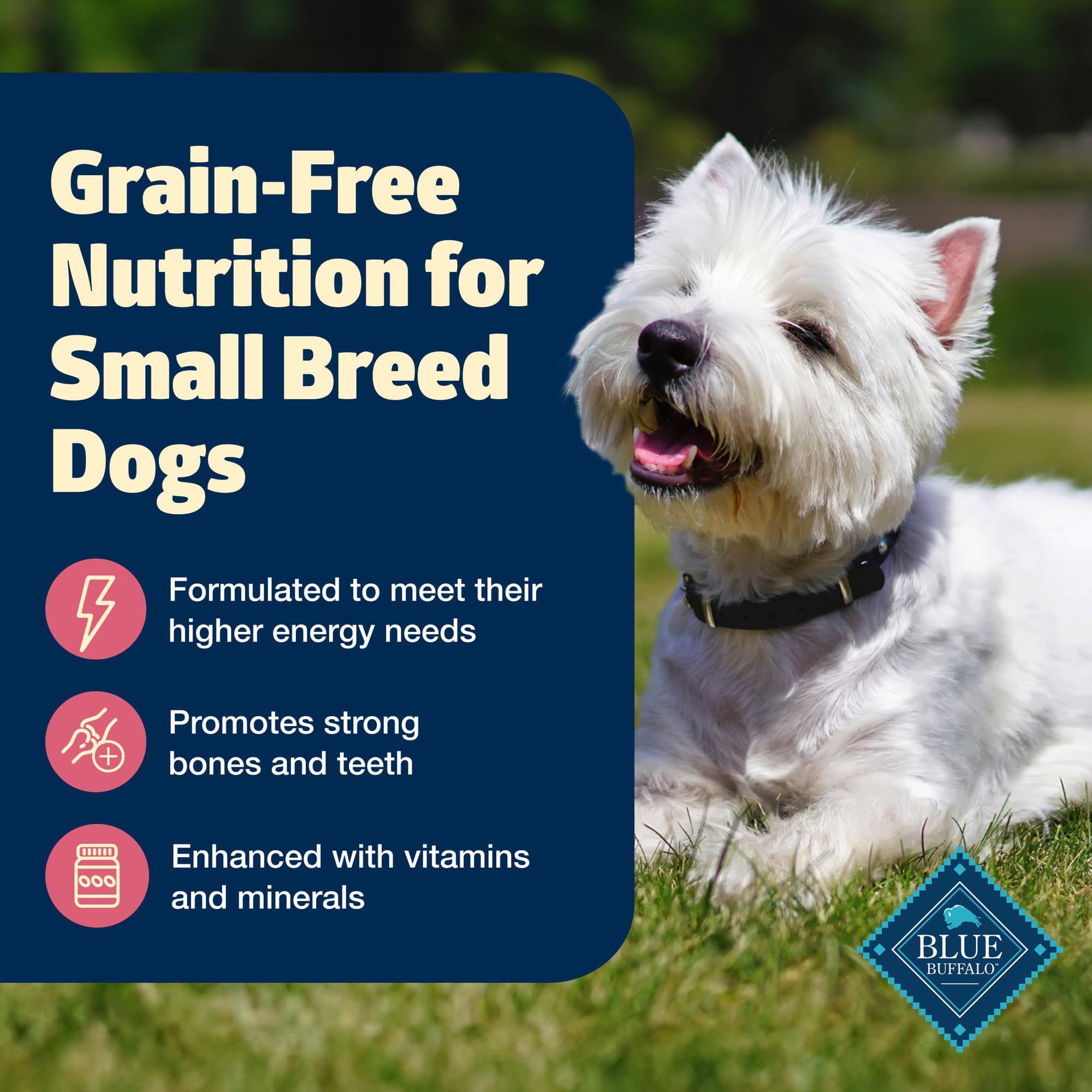 Blue Buffalo Freedom Grain-Free Small Breed Dry Dog Food, Supports High Energy Needs, Made in the USA With Natural Ingredients,