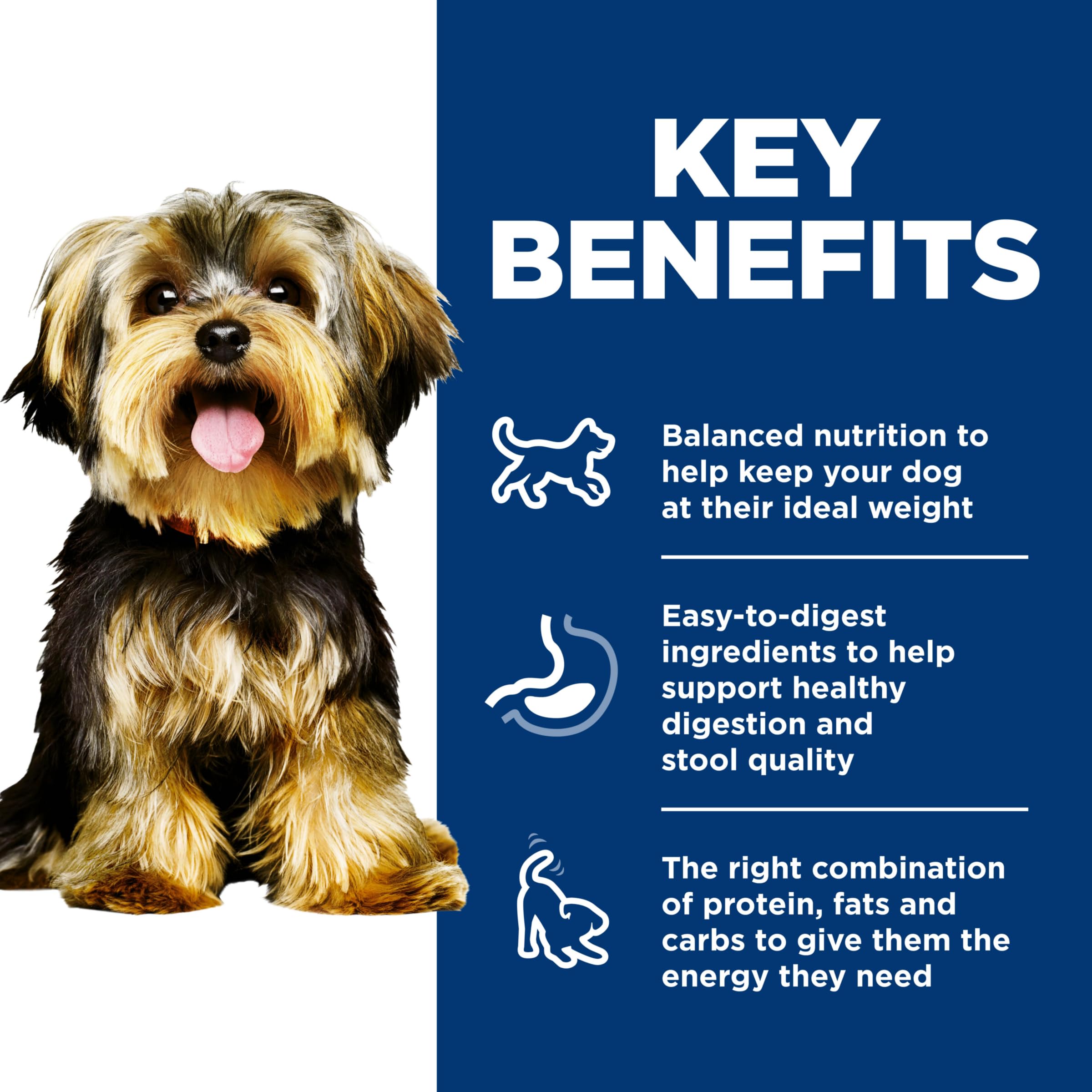 Hills Science Diet Small & Mini, Adult 1-6, Small & Mini Breeds Premium Nutrition, Wet Dog Food, Beef & Barley Loaf, 5.8 oz Can