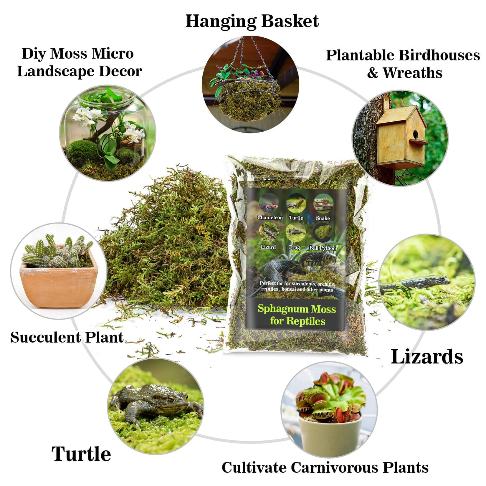 Sukh Sphagnum Moss For Reptiles -Terrarium Moss For Reptiles Peat Moss For Reptiles Habitat Bedding Moss For Snakes Turtle Frog