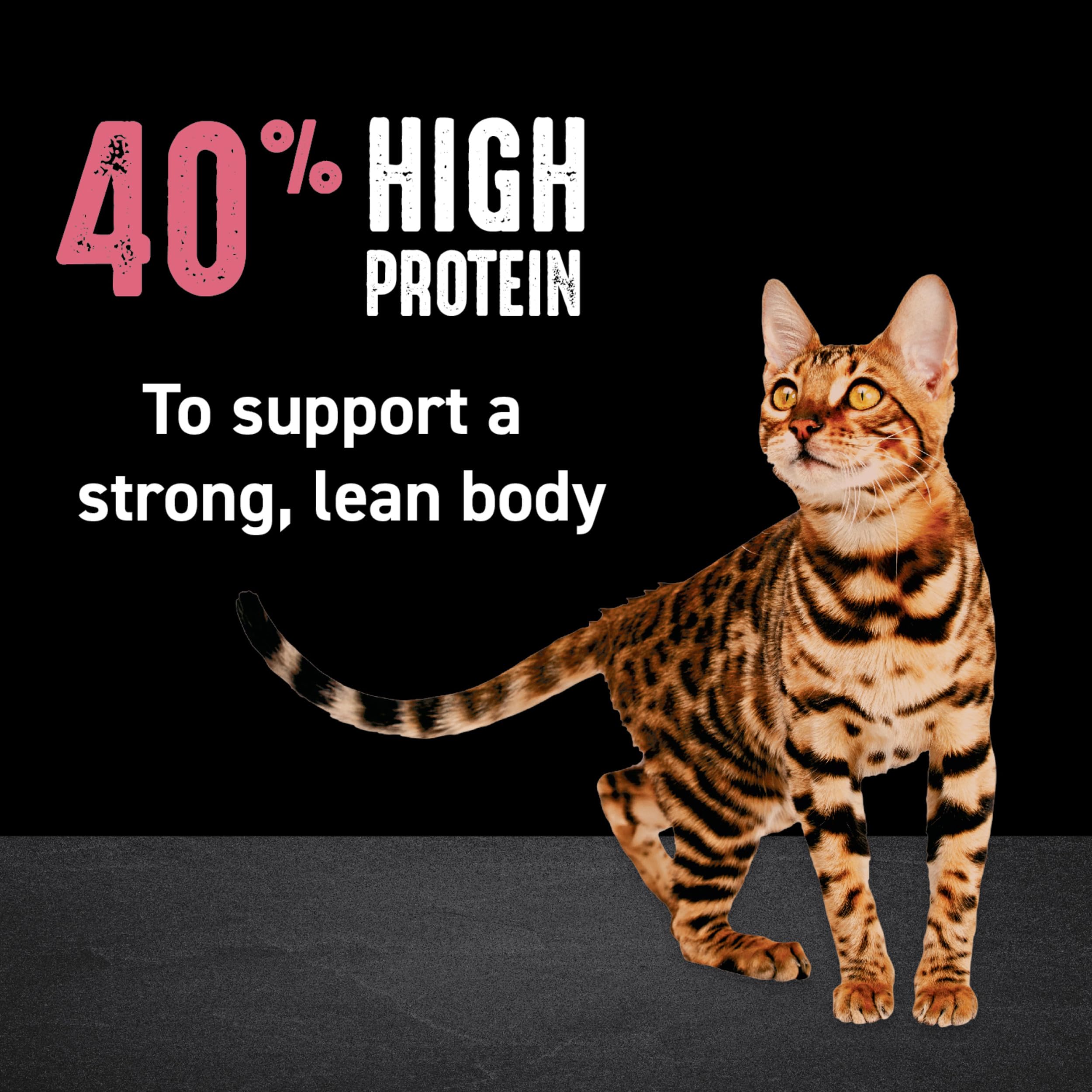 CRAVE Grain Free Indoor Adult High Protein Natural Dry Cat Food with Protein from Chicken & Salmon, 10 lb. Bag