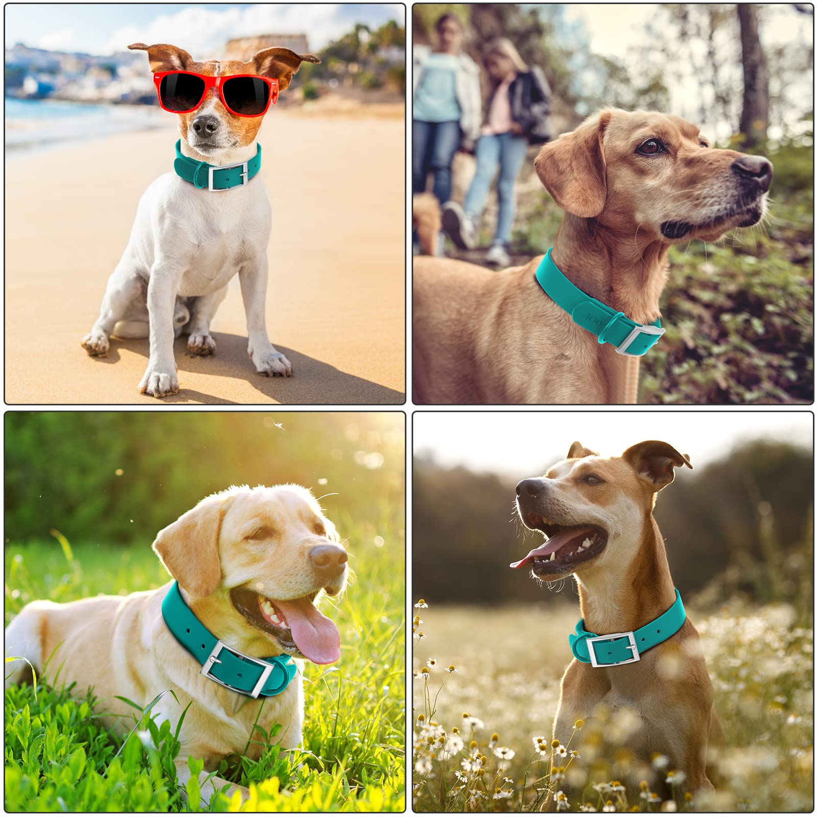 Wisedog Waterproof Dog Collar: Multiple Adjust 8.5” To 32.6”, Soft Rubber Coated Webbing, Easy To Clean, For Small Medium Large Dogs (M(Length:12'-16'; Width:0.8'), Emerald Green)
