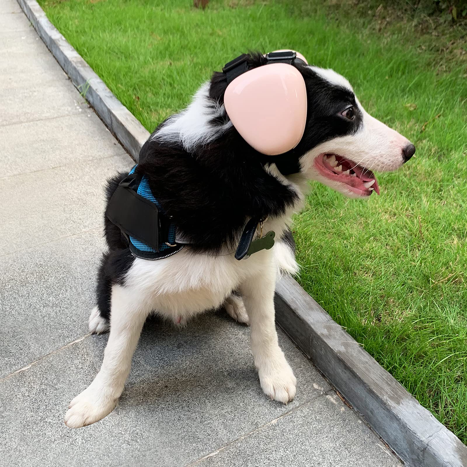 Deryep Dog Earmuffs For Hearing Protection 29Db Nrr Ear Muffs Noise Protection (Medium, Blue)
