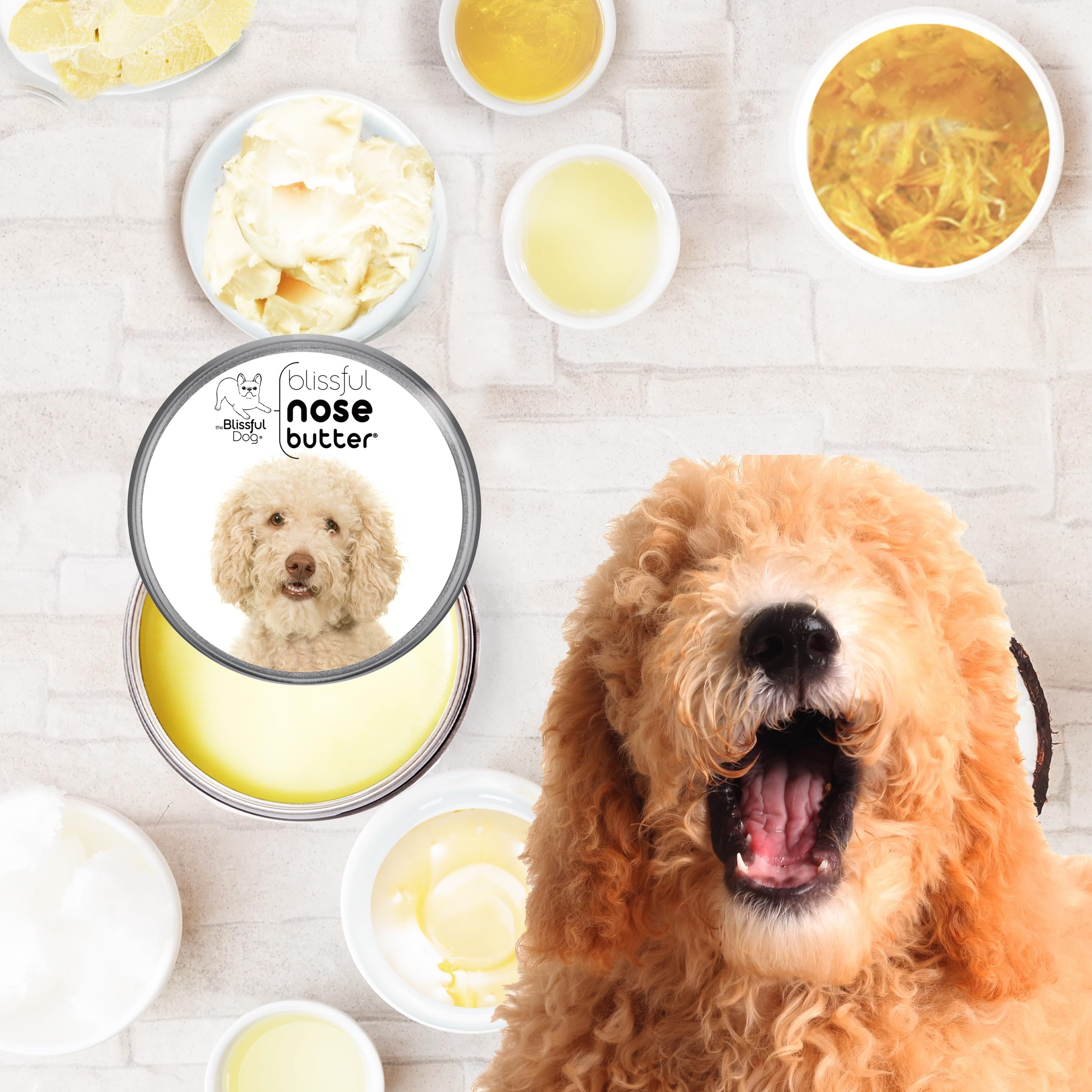 The Blissful Dog Goldendoodle Unscented Nose Butter - Dog Nose Butter, 8 Ounce