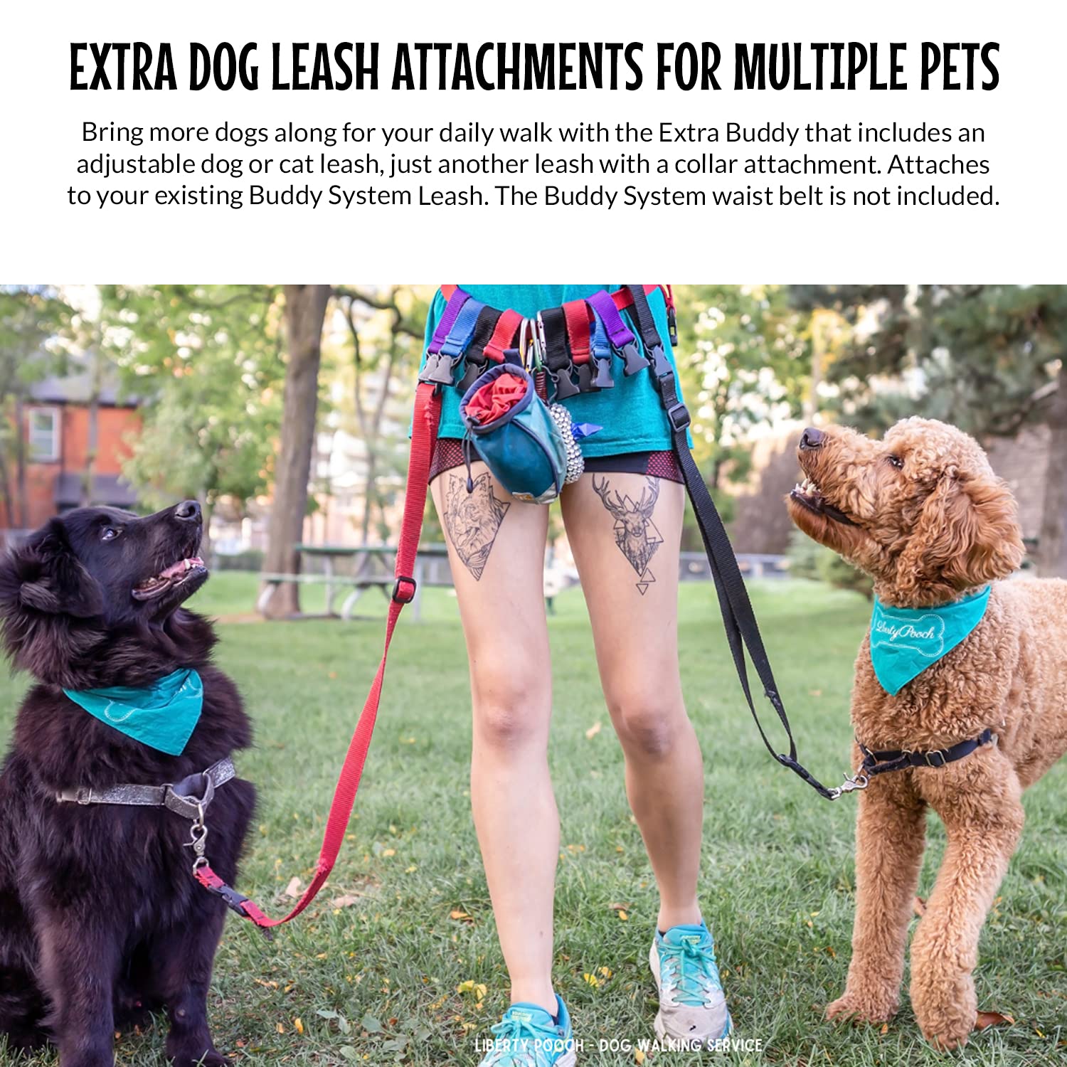 The Buddy System Accessories For Our Dog Leashes Made In Usa (Extra Buddy, Regular Dog Black)