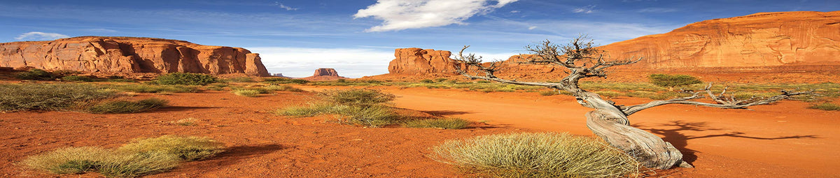 Reptile Habitat Background; Monument Valley With Tree, For Zoo Med 40 Gal. 36Lx18Wx18H Terrarium, 3-Sided Wraparound