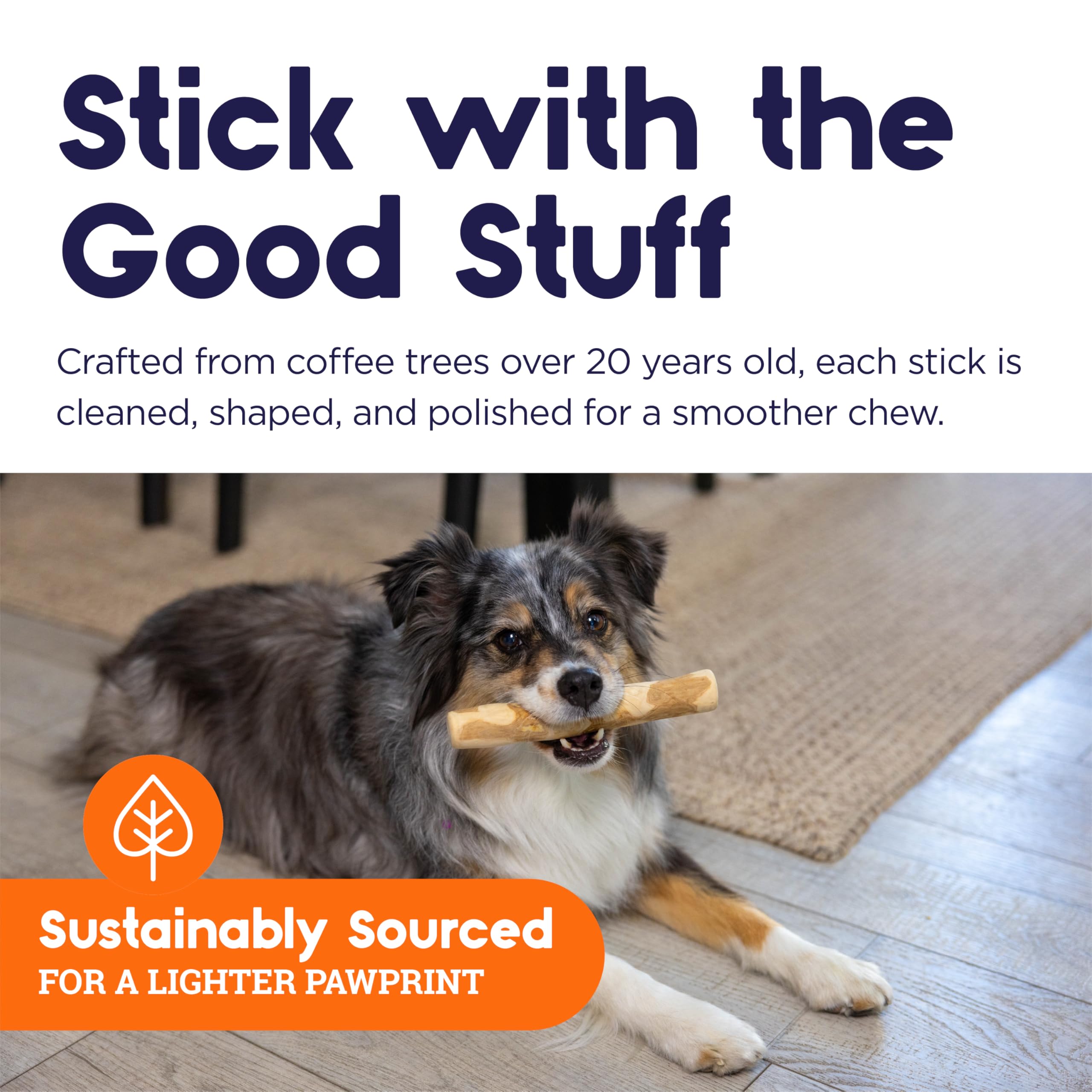 Petstages Coffee Wood Dog Chew Stick - Medium Natural Wood Toy for Light to Moderate Chewers, Sustainably Sourced