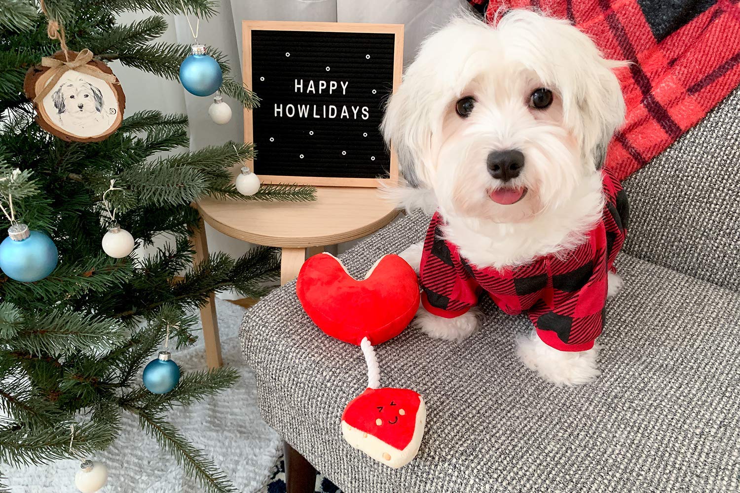Pearhead Christmas Dog Toy, to All a Gouda Night Cheese Wheel Toy, Holiday Dog Rope Toy, Pet Stocking Stuffer