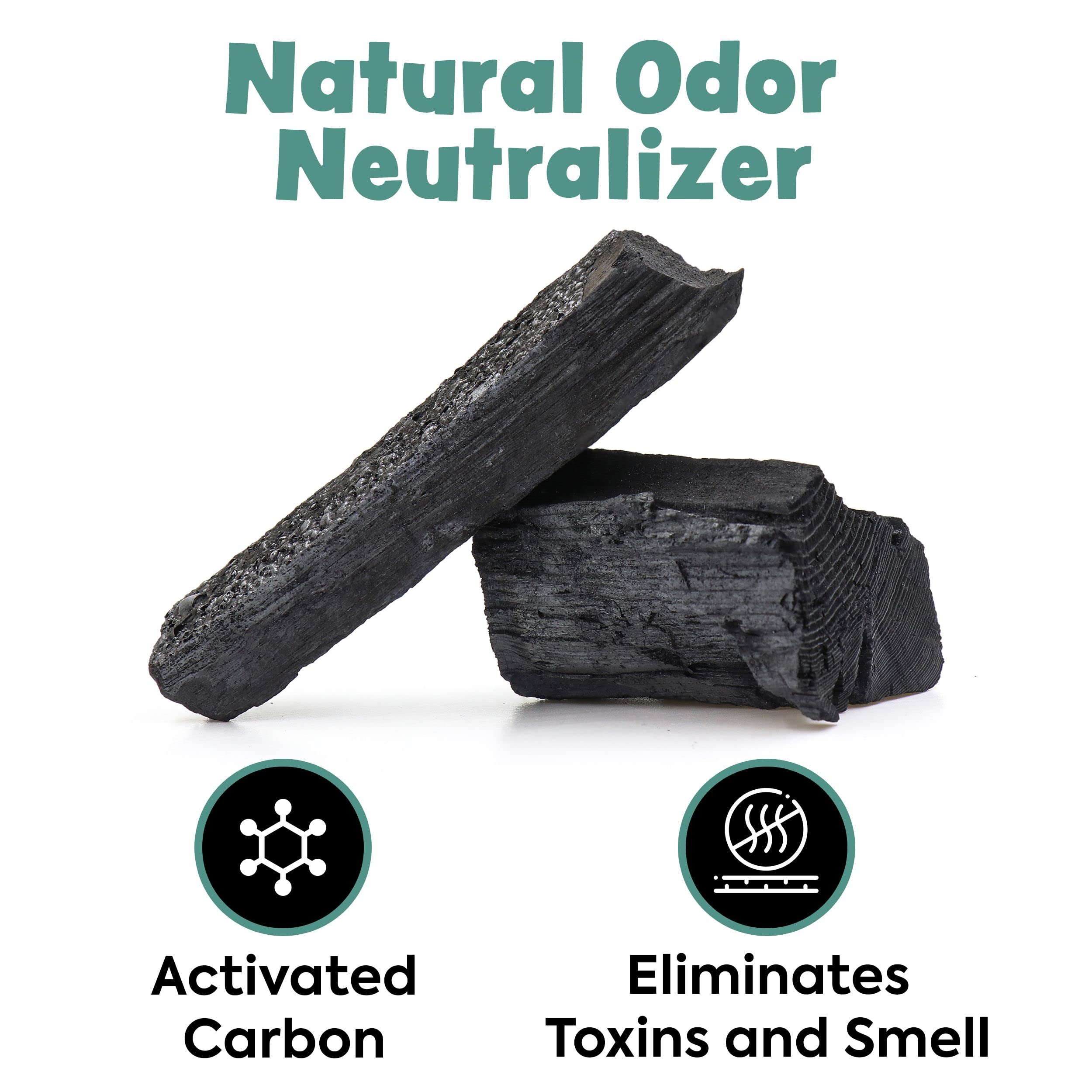 Disposable Puppy Pads Potty Training - 10 Activated Charcoal Pee Pads For Dogs With Attractant - Wee Wee Absorbent, Odor Neutralizer Dog Pads - Five Layered Pet Potty Pads - 36' X 36'