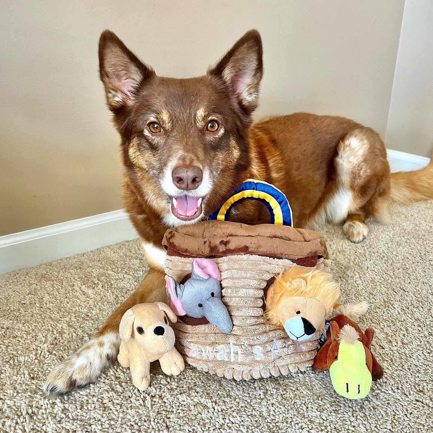 Chewffon Interactive Hide-And-Seek Burrow Toy, Uppy Puzzle Toys,Cute Squeaky Chew Plush Toy, Dog Enrichment Activity Fetch Brain
