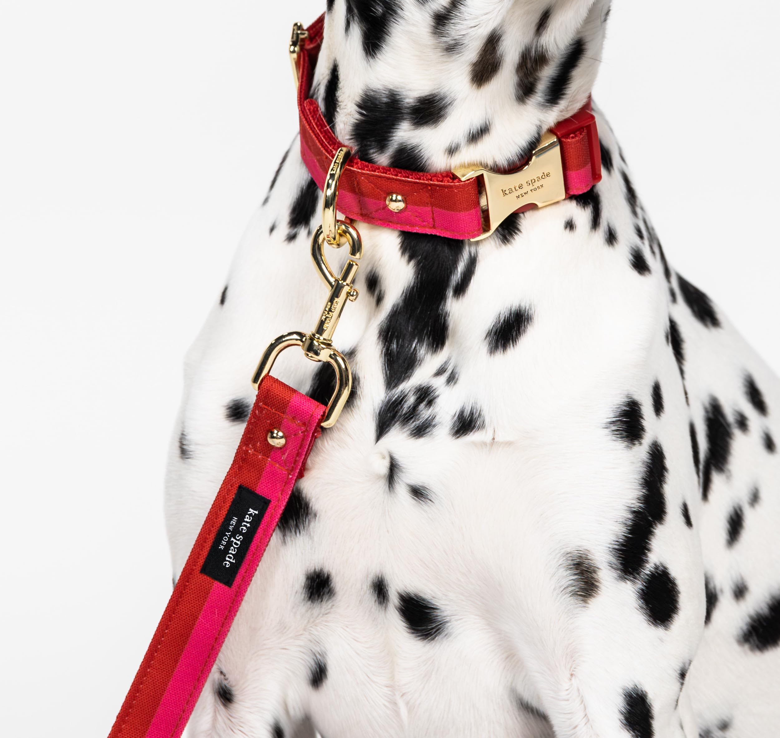 Kate Spade New York 4.5Ft Dog Leash, Heavy Duty Leash For Female Or Male Dogs, Cute Pet Leash With Gold Metal Hardware, Long Dog