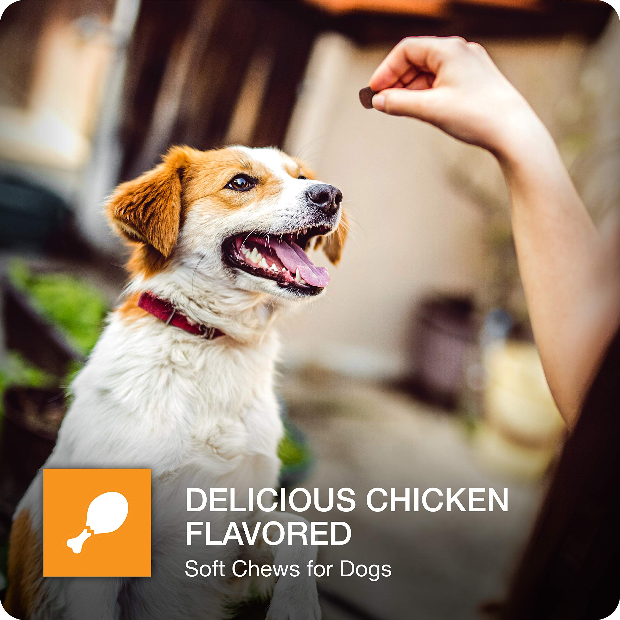 VetIQ Hip & Joint Supplement for Dogs, Anti Inflammatory Joint Support, Glucosamine, MSM, and Krill, Chicken Flavored Soft Chews