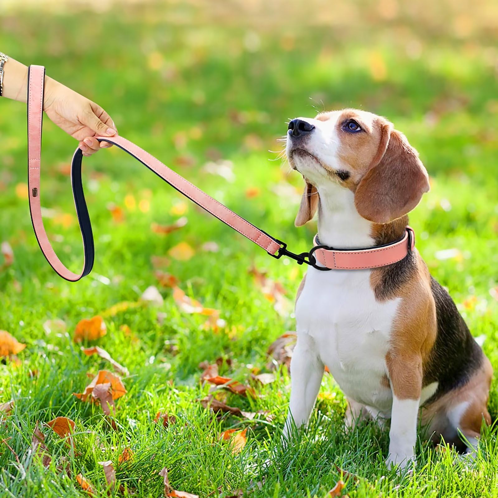 Didog Soft Padded Leather Dog Collar And Leash Set, Heavy Duty Pink Breathable Pet Collars With 4Ft Leather Dog Leash For Small