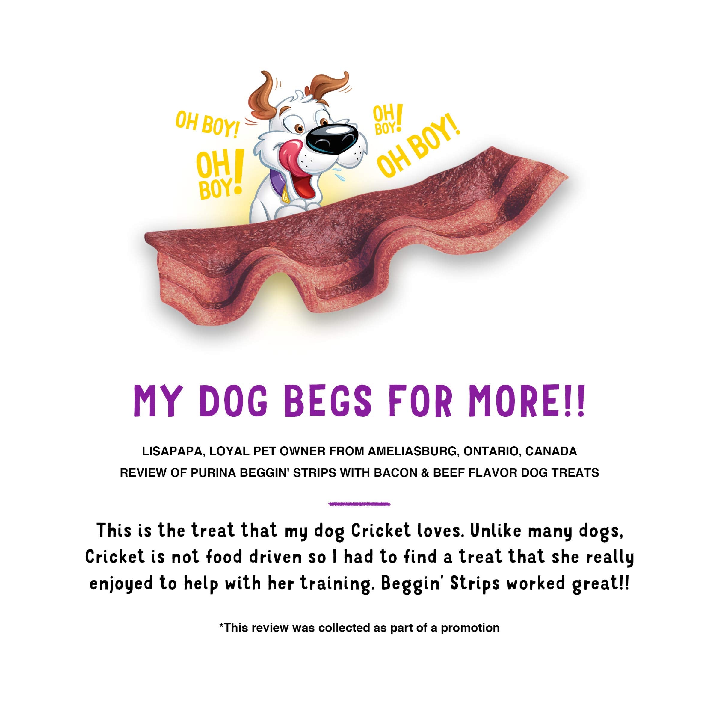 Purina Beggin Strips With Real Meat Dog Treats With Bacon and Beef Flavors - (Pack of 2) 26 oz. Pouches