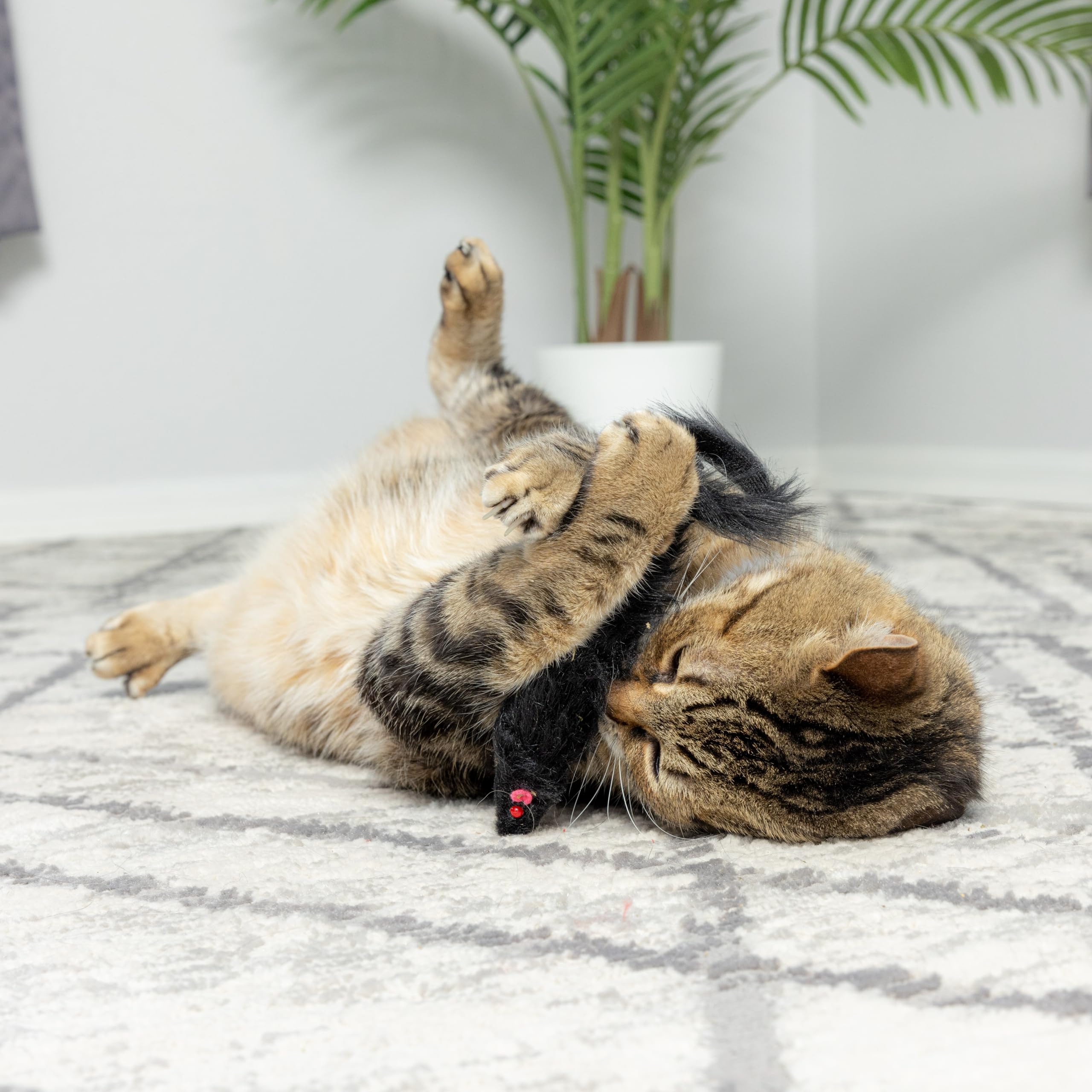 Ethical Shaggy Plush Ferret With Rattle And Catnip Cat Toy