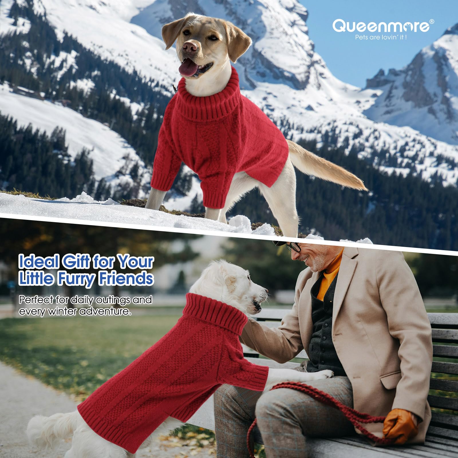 Queenmore Xsmall Dog Sweater,Small Sweater For Dog,Soft Knitted Dog Sweater Christmas Clothing,Turtleneck Pullover Puppy Sweater