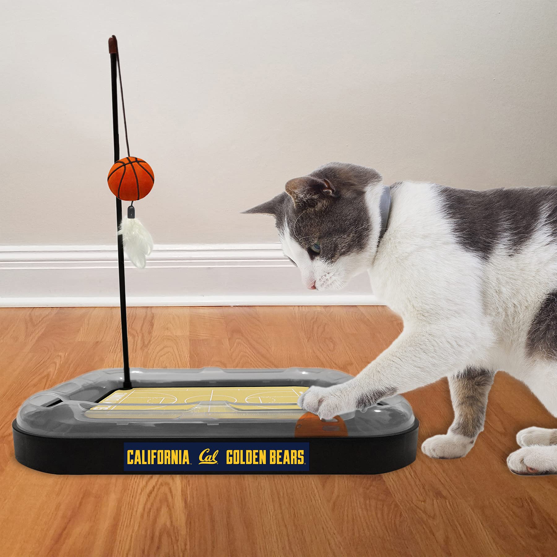 Cat Scratch Toy Ncaa California Berkeley Golden Bears Reversible Basketball Court Felt/Cardboard Cat Scratcher. Interactive Cat