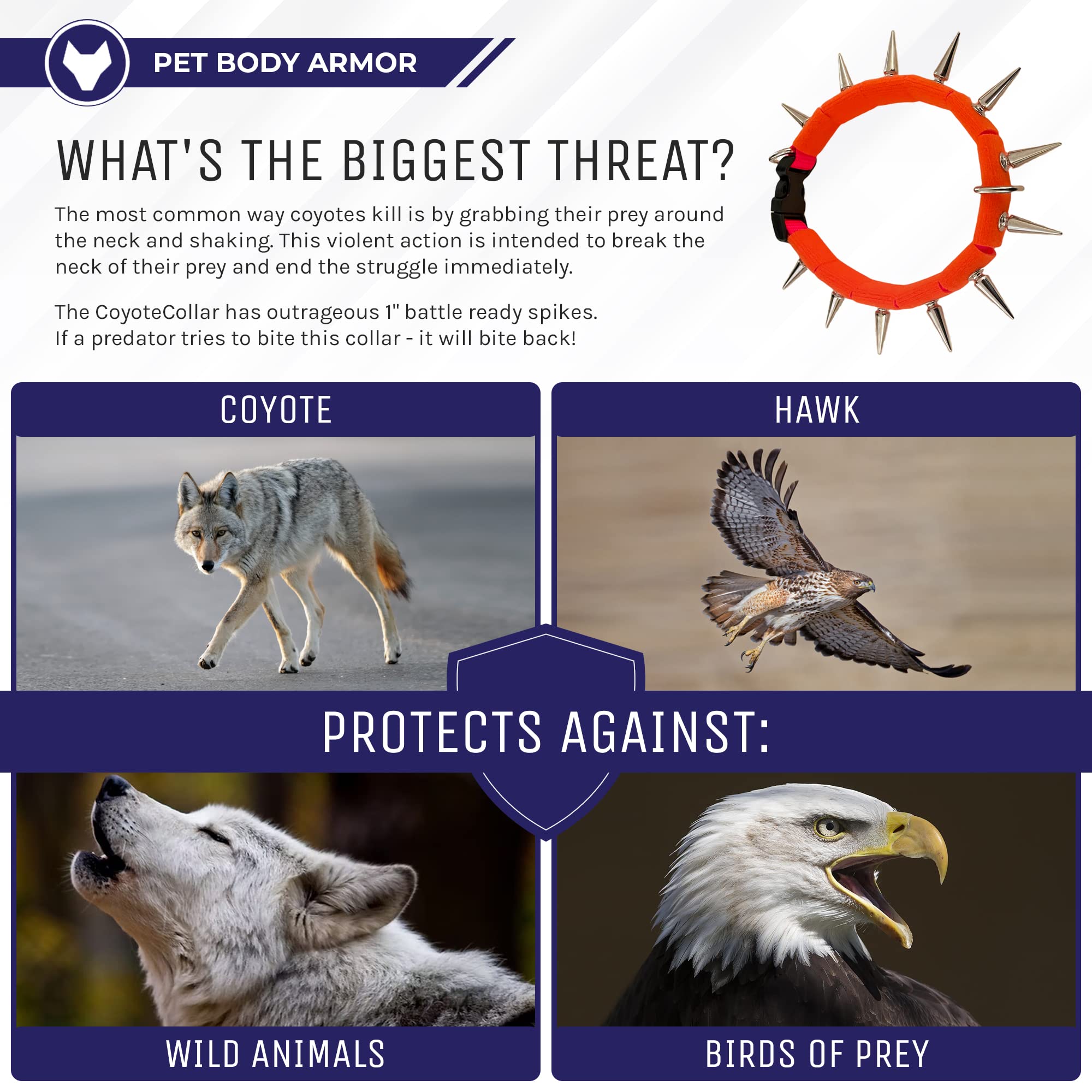 Coyotecollar Spiked Dog Collar - Orange Medium Spike Collar, Adjustable, Protection Against Coyotes & Aggressive Dogs