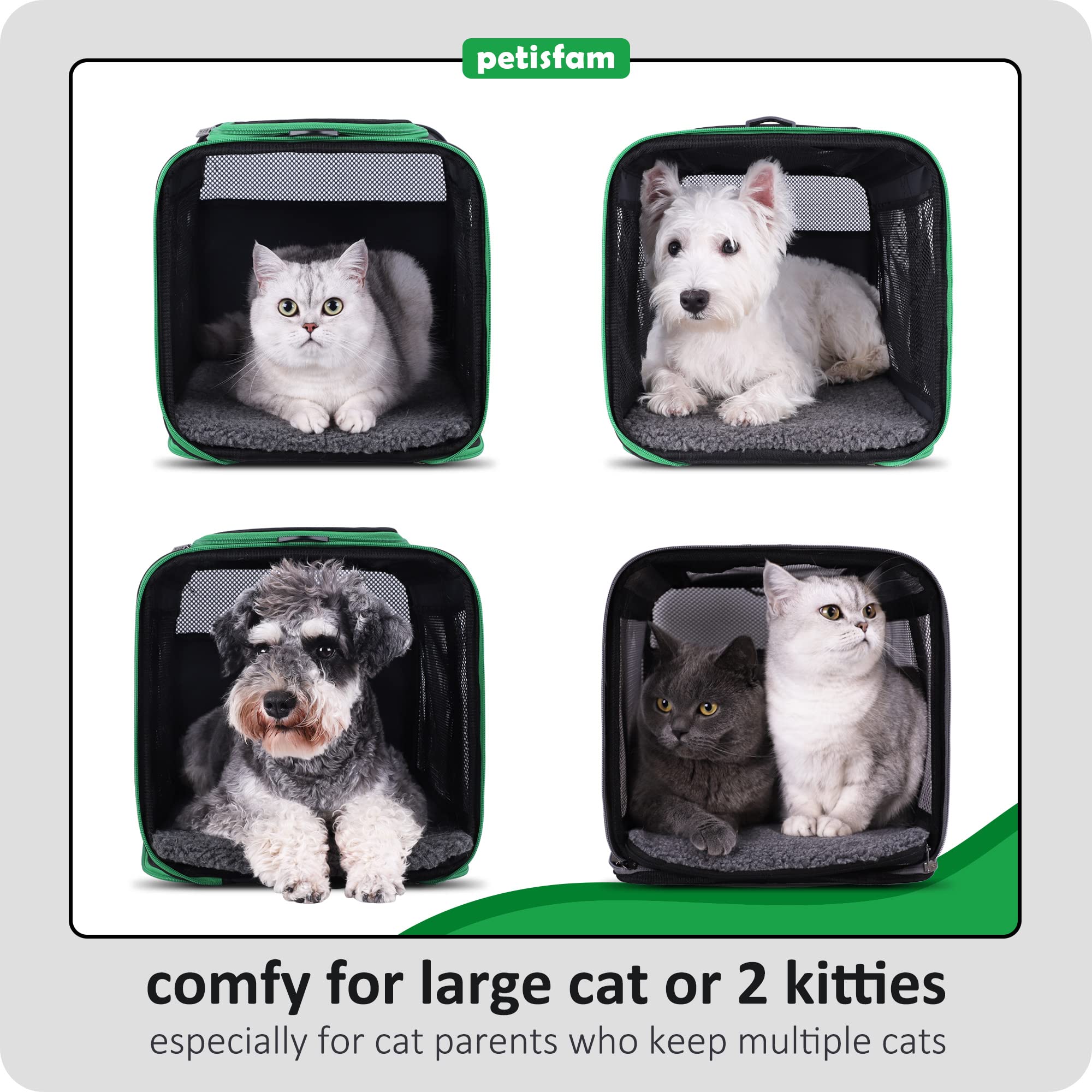 Petisfam Soft Pet Carrier Bag For Easy Travel With Medium, Large Cats, 2 Kitties And Small Dogs. Easy To Get Cat In. Easy Vet Visit. Easy Storage. Black W/Green Trim, L