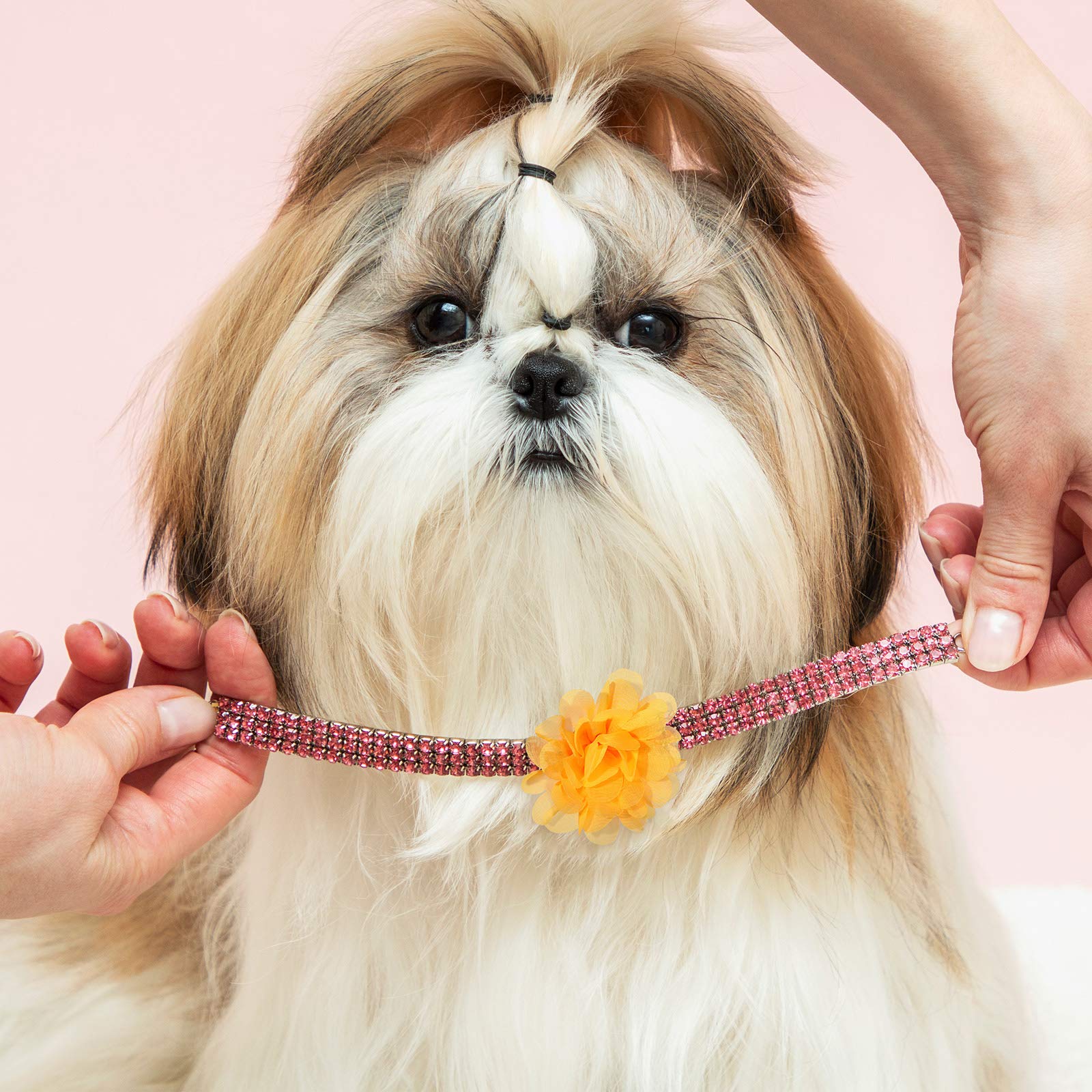 Willbond 30 Pieces Dog Collar Flowers Bulk Pet Flower Bow Ties Multi-Color Dog Charms Flower For Cat Puppy Collar Grooming Accessories 30 Colors(5 Cm)