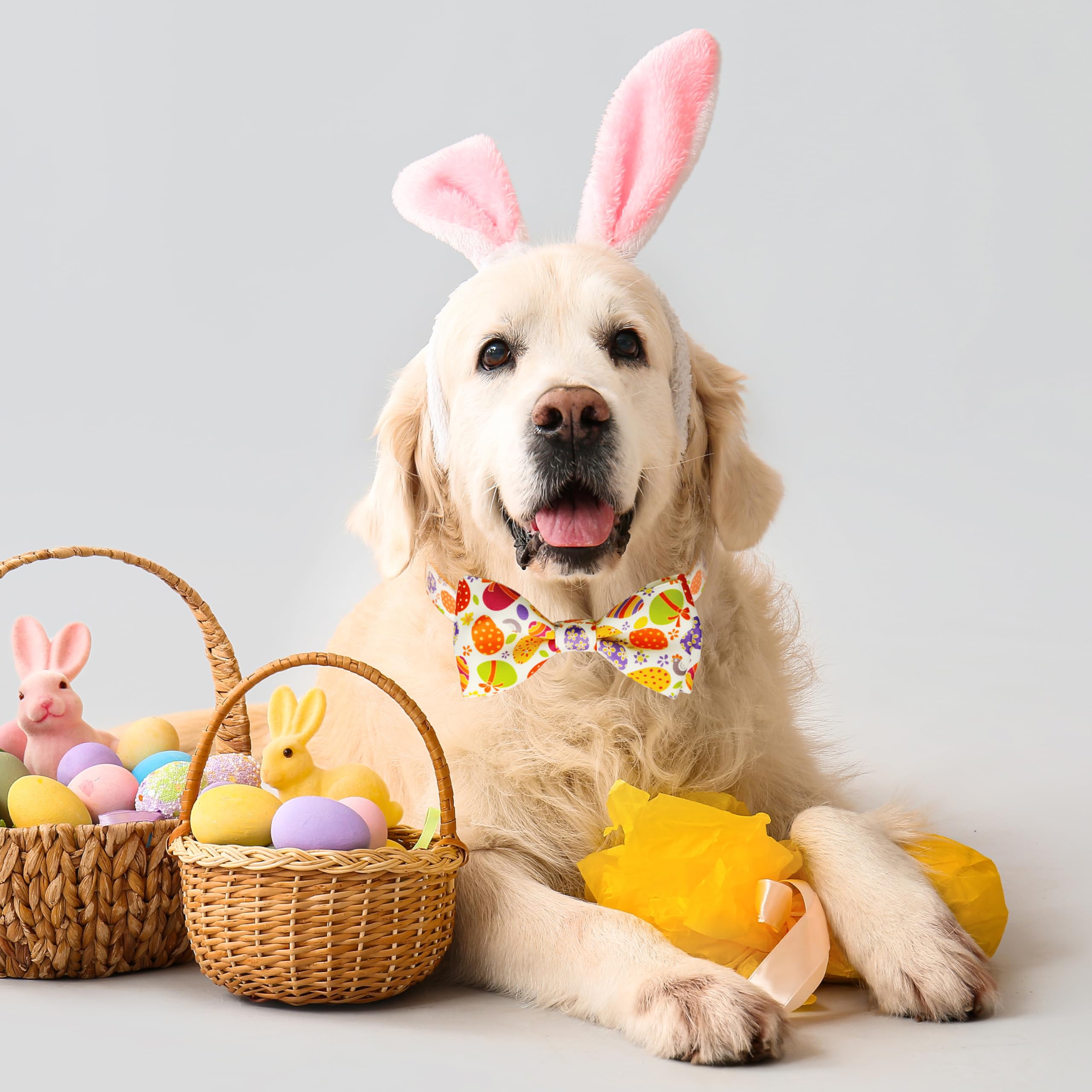 Easter Dog Bow Tie Collar, Adjustable Colorful Egg Pattern Pet Collar With Detachable Bowtie, Festive And Comfortable For Small