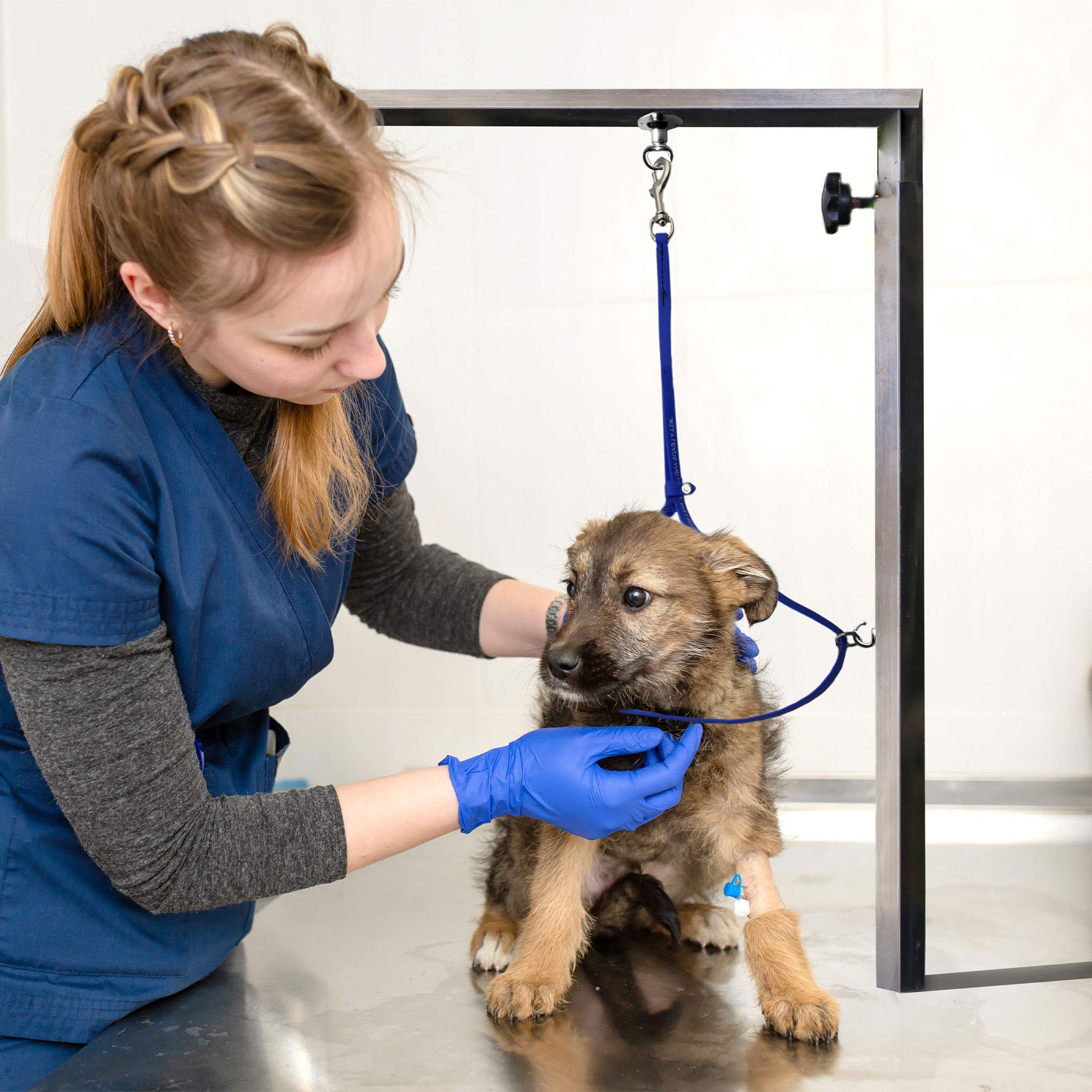 Jelly Pet Grooming Loop For Dogs, Groomers Helper, Biothane Material Is Easy To Clean, Waterproof & Durable Noose Loop, Fits Mos