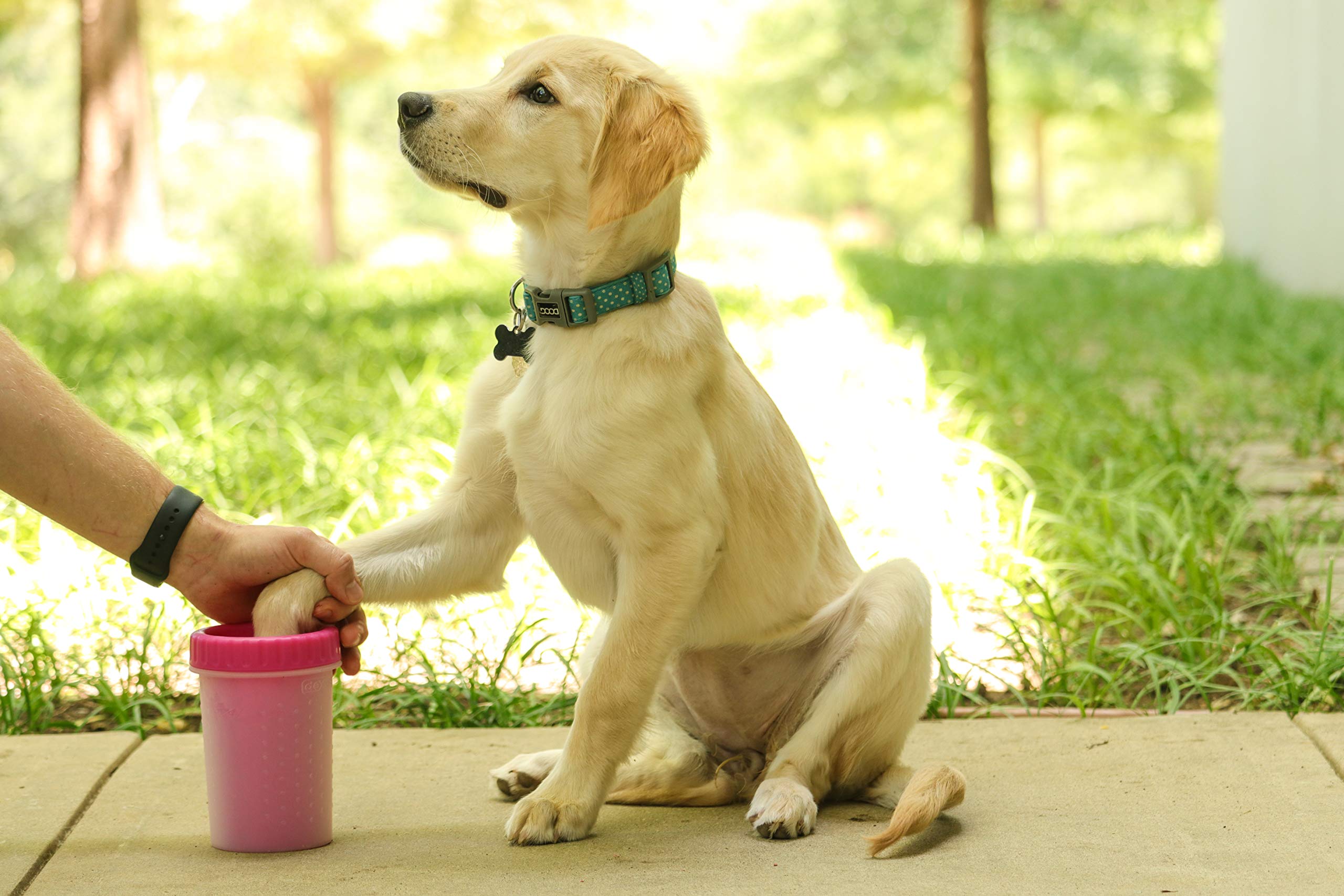 Dexas Mudbuster Portable Dog Paw Cleaner, Pink Medium Paw Cleaner For Dogs, Premium Quality Pet Supplies And Dog Accessories