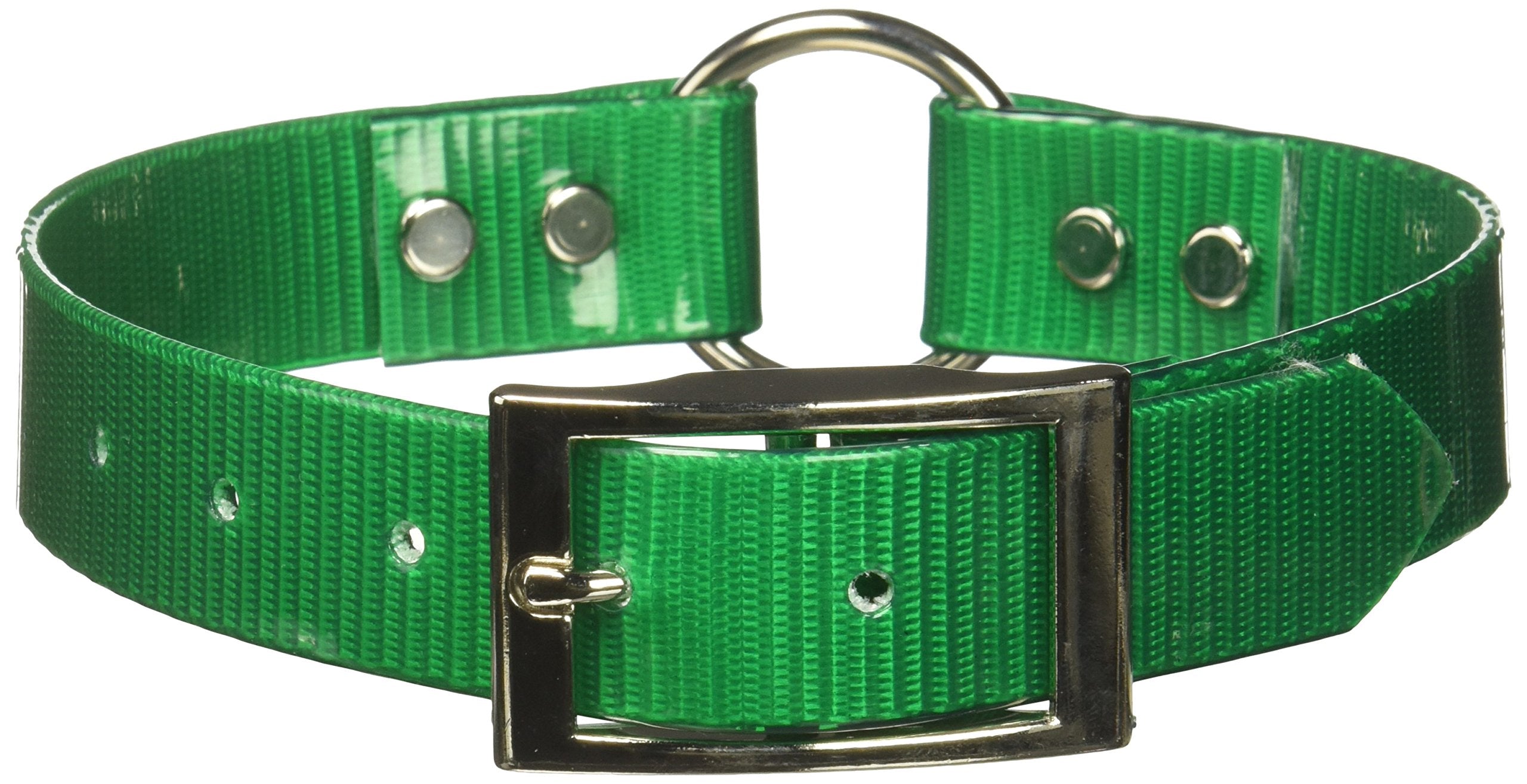 Omnipet Sunglo Ring-In-Center Dog Collar, 1' Wide, Green, Fits 14.5'- 18' Neck Sizes, Vibrant Colors & Tough Construction For