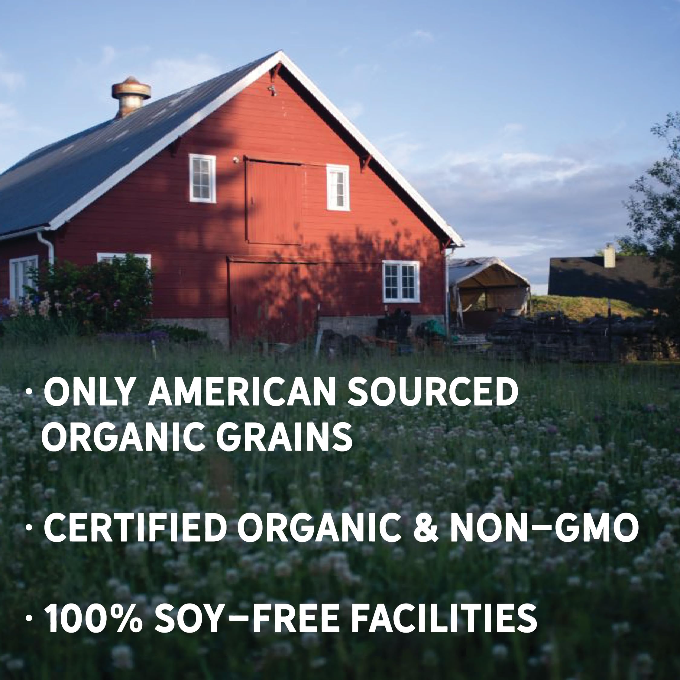 New Country Organics | Unmilled Layer Feed for Laying Hens | Soy-Free | 17% Protein | Certified Organic and Non-GMO | Great for
