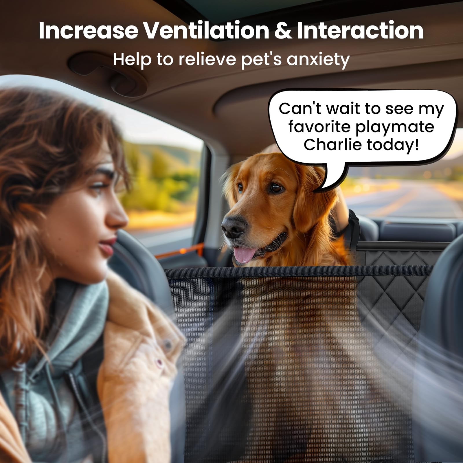 Easyego Back Seat Extender for Dogs-Large Space, Sturdy Seat Cover Hard Bottom with Storage, Washable Dog Hammock for Car, SUV,