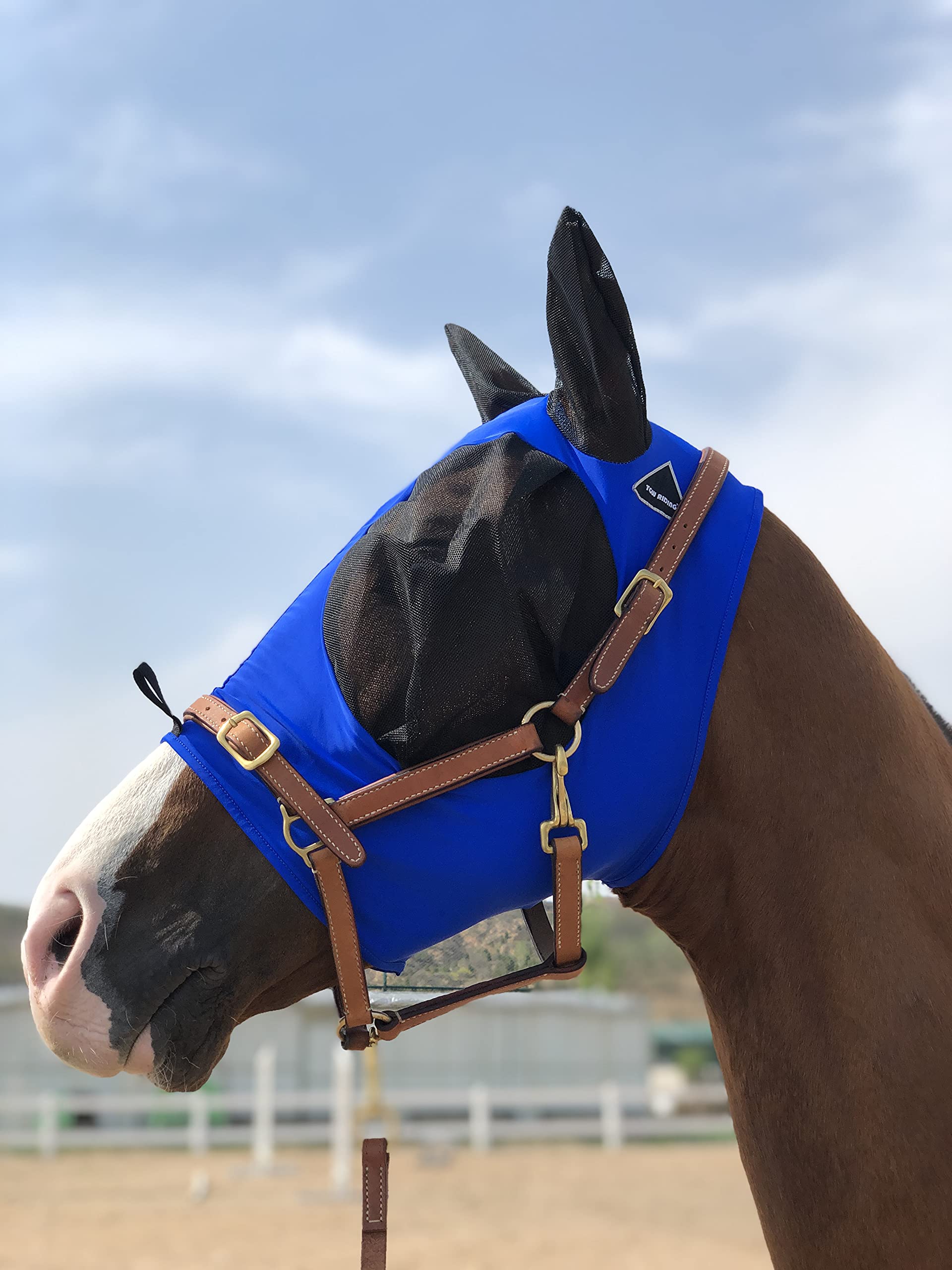 Horse Fly Mask Super Comfort Horse Fly Mask Elasticity Fly Mask with Ears We Only Make Products That Horses Like (Royal Blue, M)