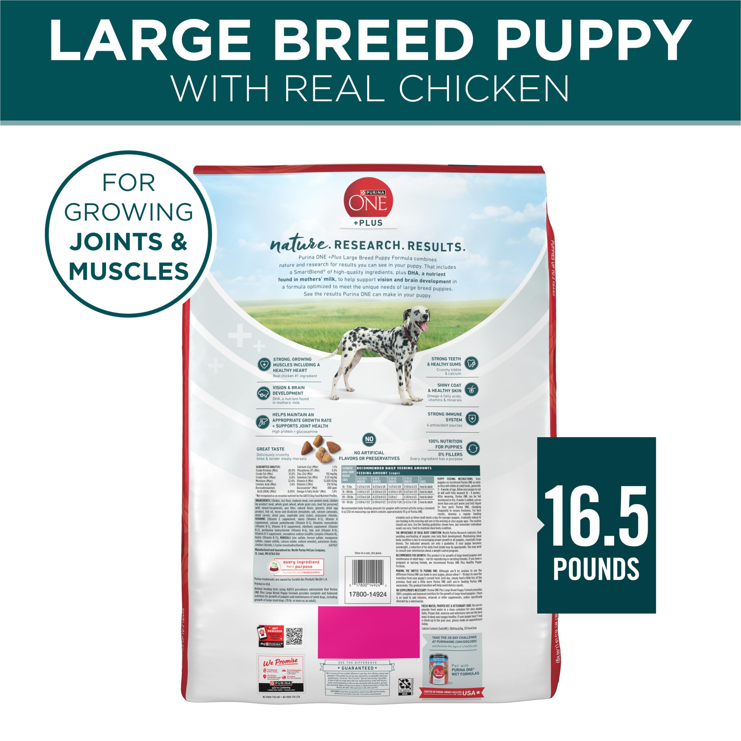 Purina ONE Plus Large Breed Puppy Food Dry Formula - 16.5 lb. Bag