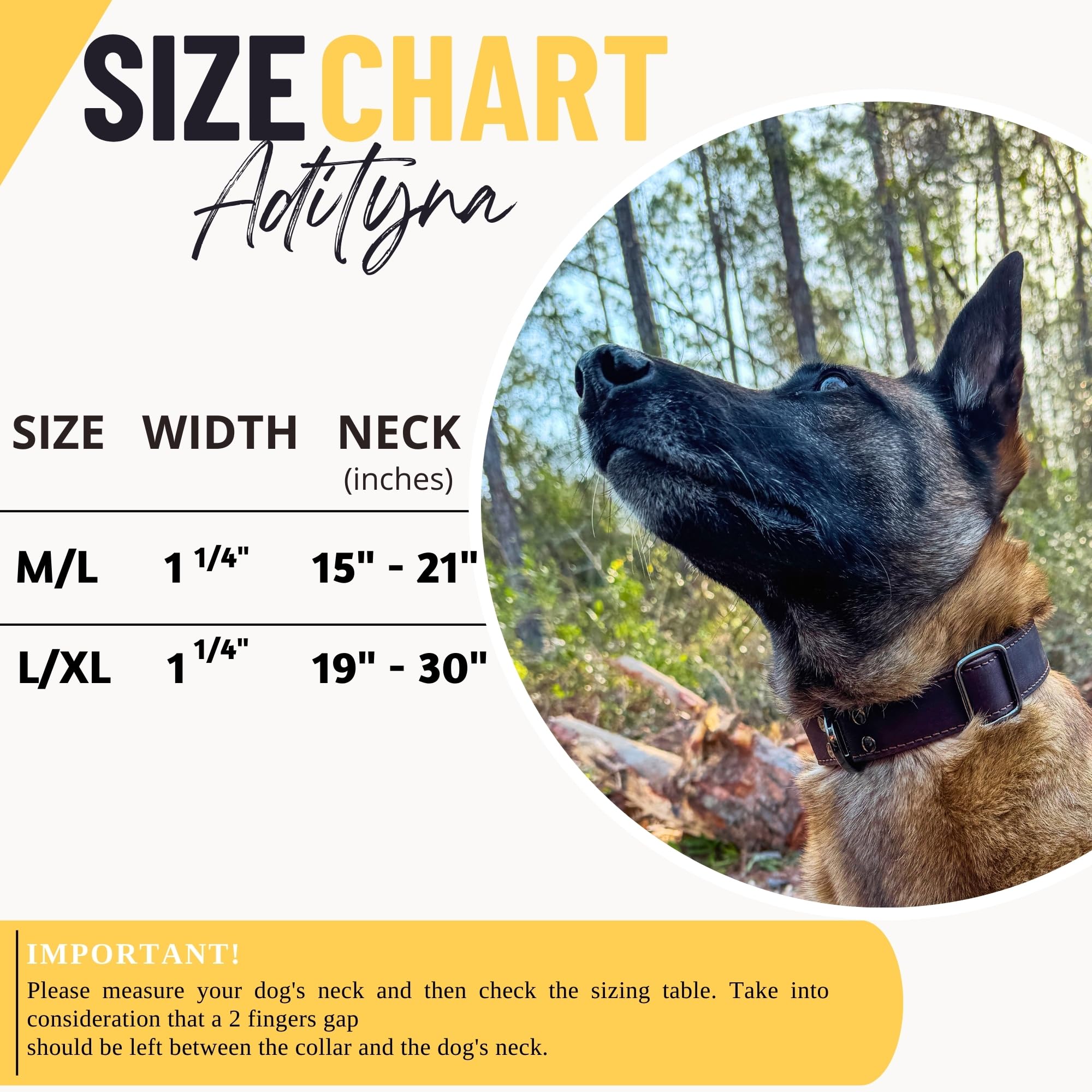 ADITYNA Leather Dog Collar with Metal Buckle - Heavy-Duty, Adjustable for Medium & Large Dogs - Walking, Training, Tactical (Bla