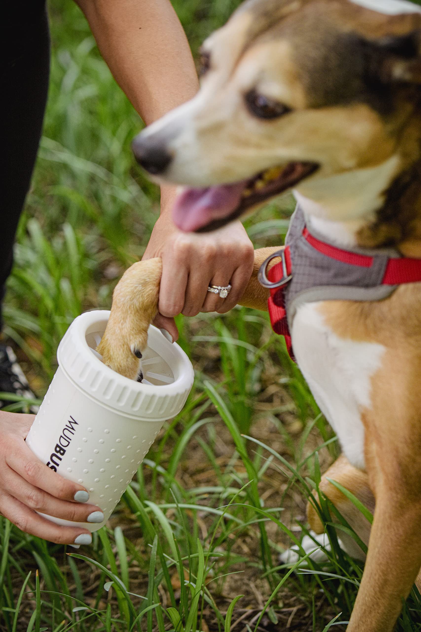 Dexas Mudbuster Portable Dog Paw Washer/Paw Cleaner, Medium, Bright White- Special Edition (Pw71032-22Wp)