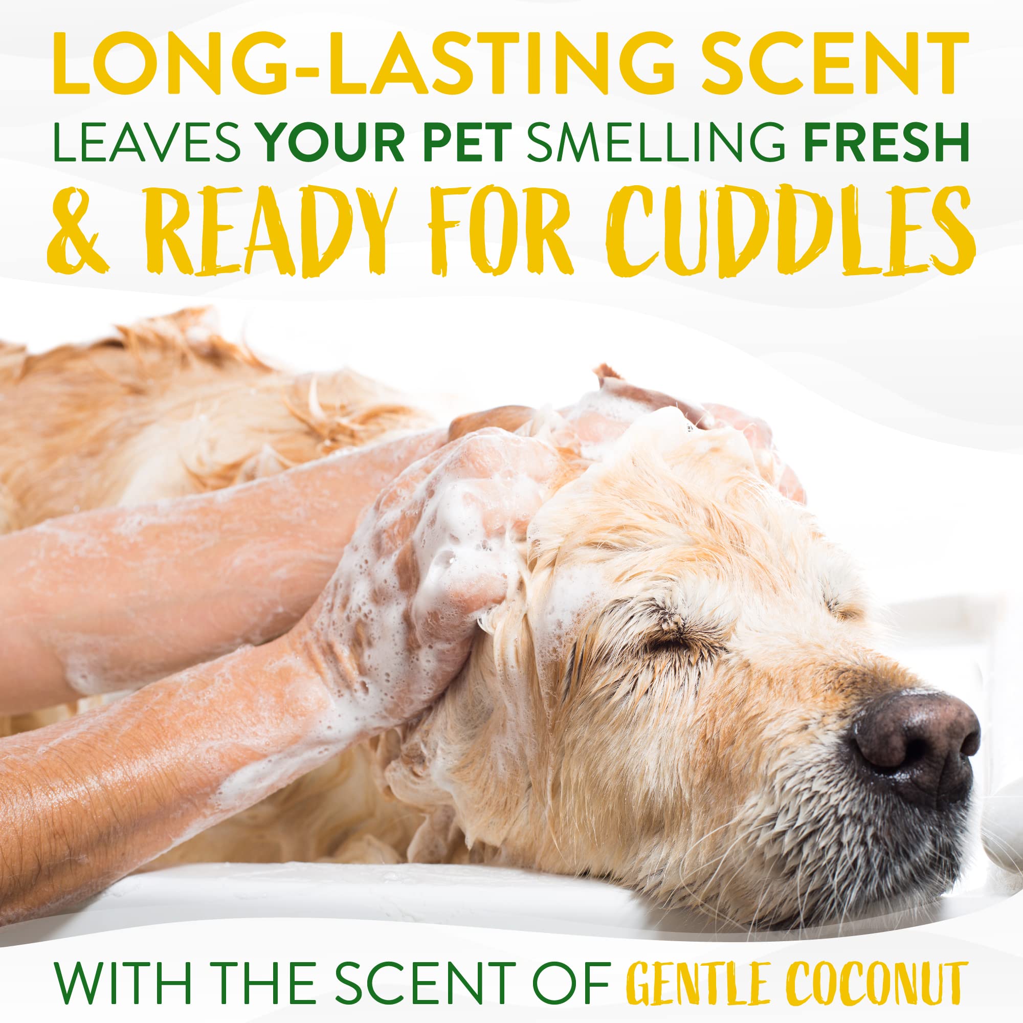 Tropiclean Coconut Hypoallergenic Dog Shampoo | Gentle Puppy Shampoo For Sensitive Skin | Natural Pet Shampoo Derived From Natural Ingredients | Kitten Friendly | Made In The Usa | 20 Oz.