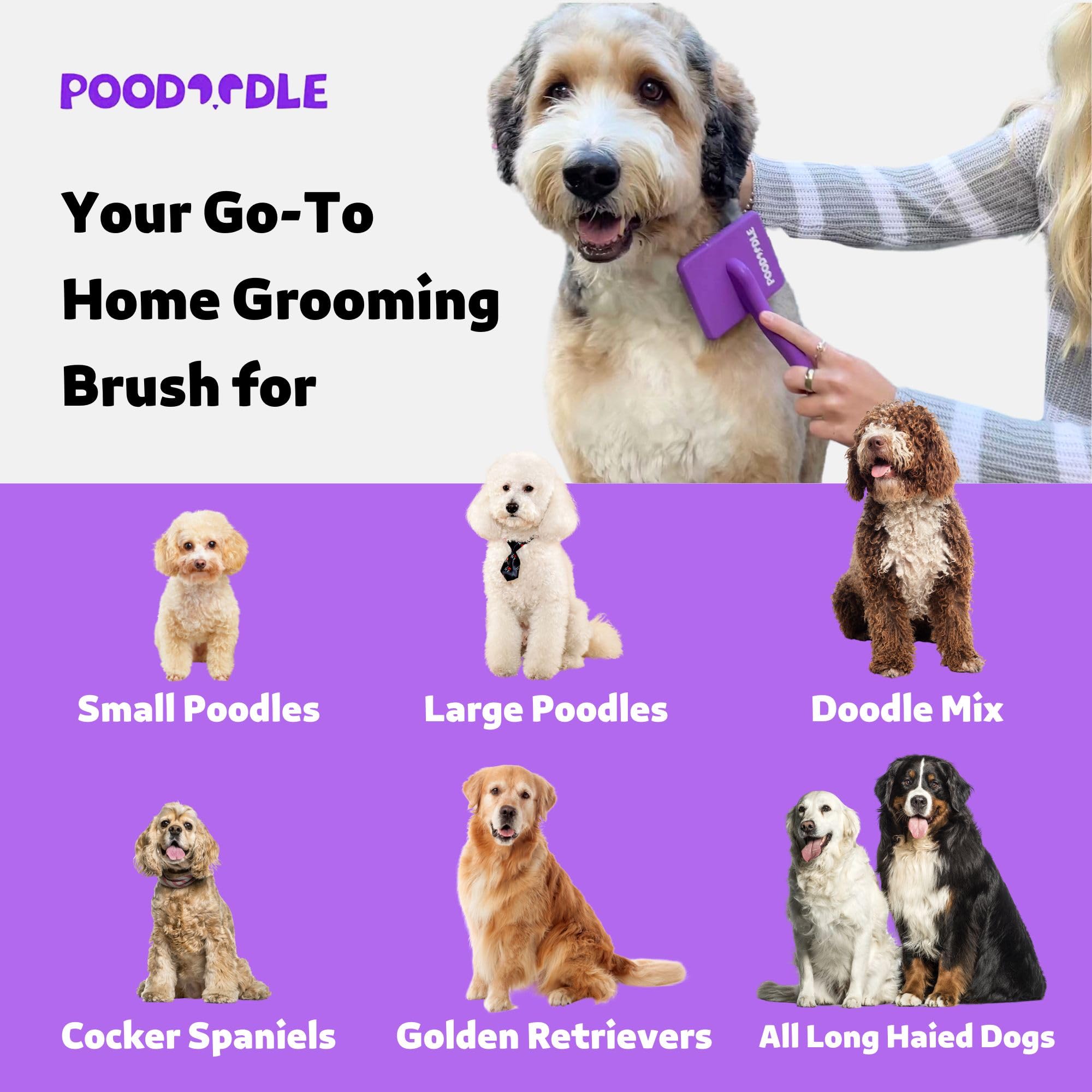 Poodoodle Small Slicker Brush, Purple, Hair Brush For Curly Wavy Haired Dogs - Poodles, Doodles, Bichon, Bernese Mountain Dog, C