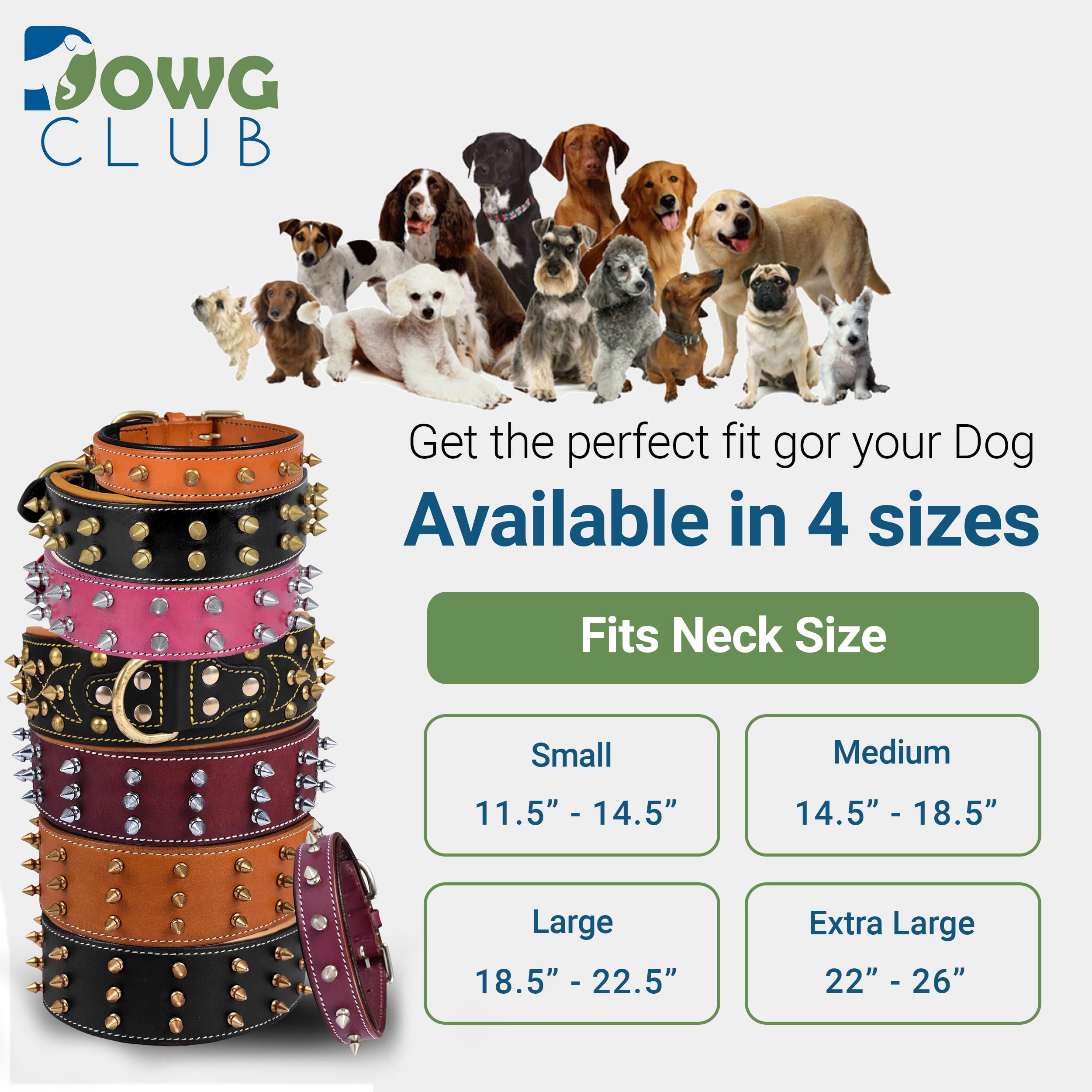 Dowgclub Spiked Leather Dog Collar - 2 Wide Full Grain Bridle Leather, Heavy Duty, Padded & Adjustable - For Large Breeds (L (