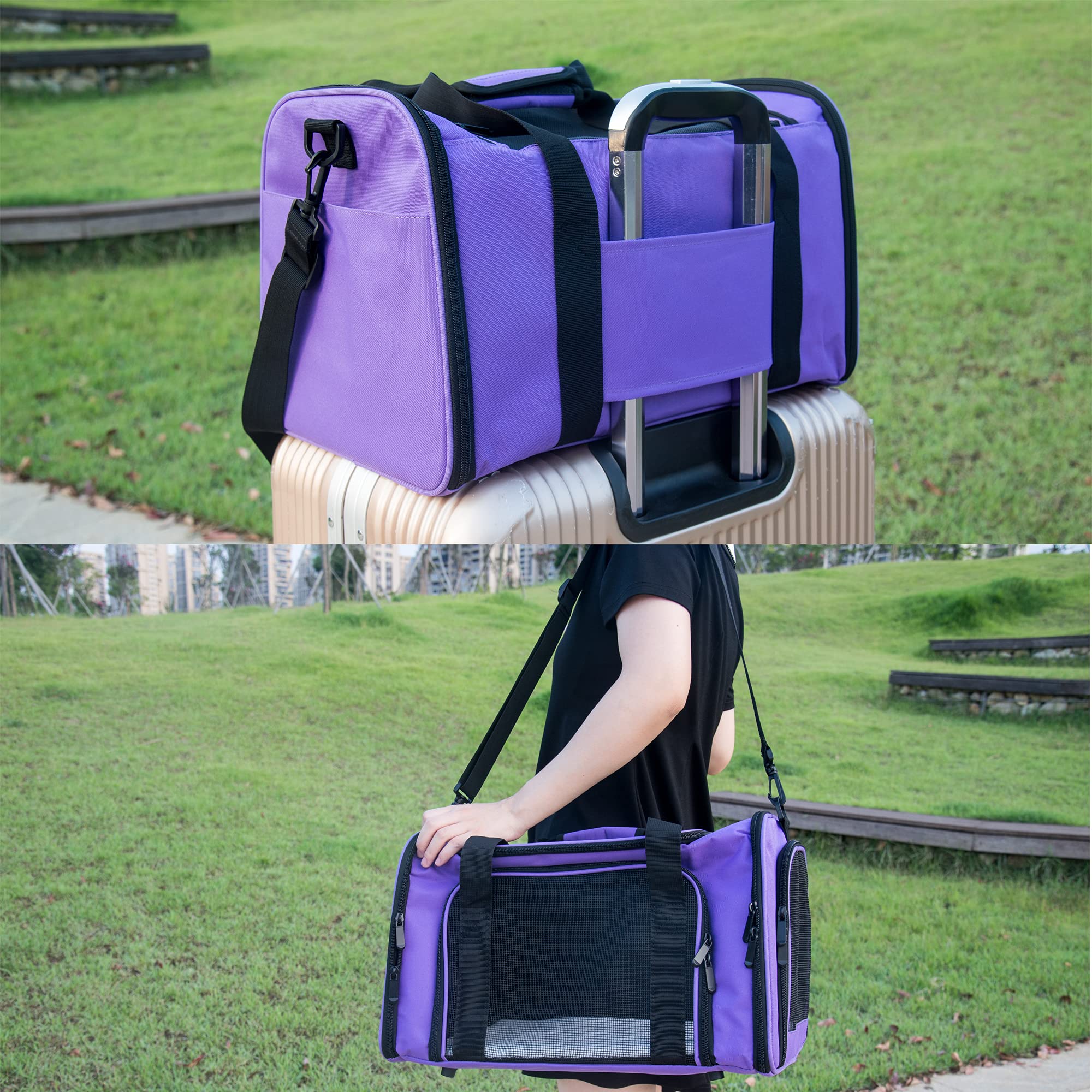 Nextfri Soft Sided Carrier For Small Medium Cats Dogs,Removable Pad Collapsible Travel Pet Carrier Large Purple