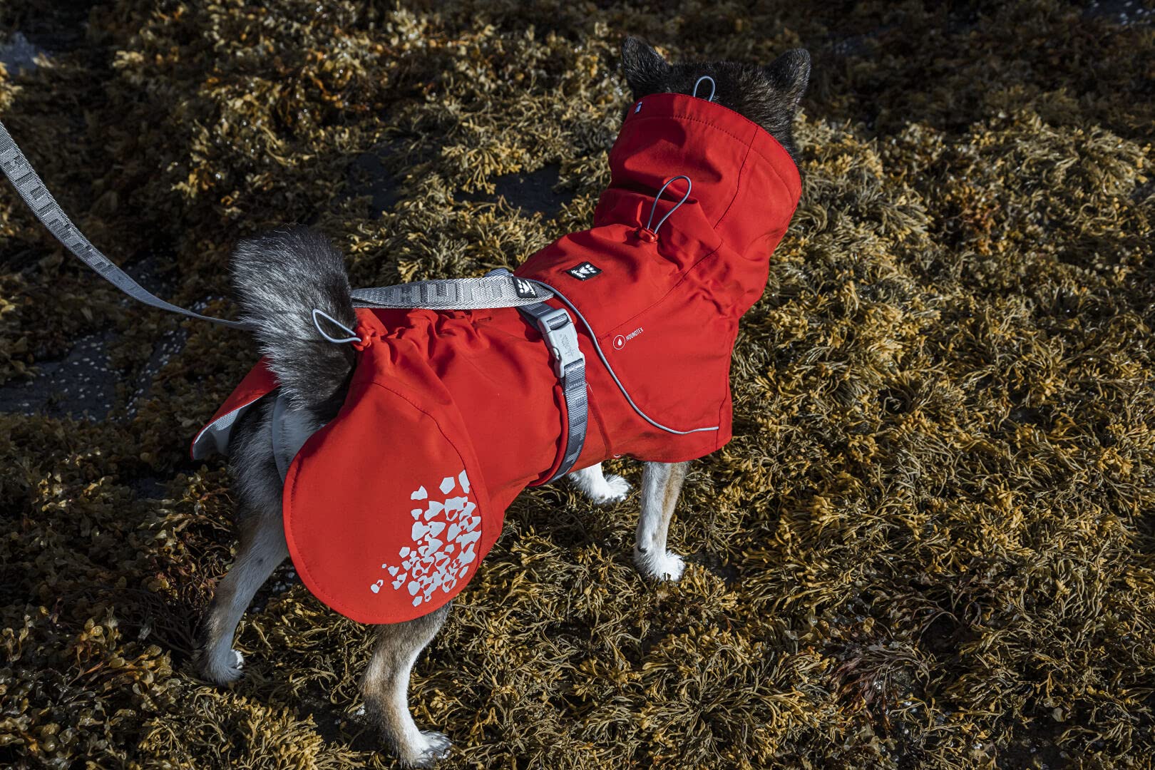 Hurtta Monsoon Coat Eco, Dog Raincoat, Rosehip, 28 In