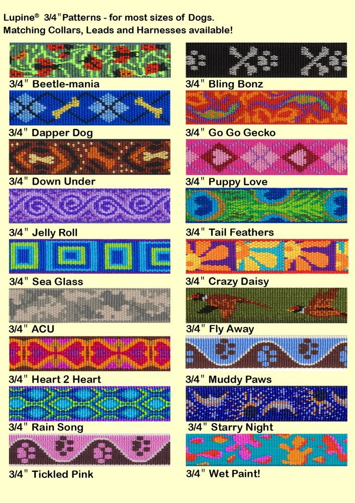 LupinePet Originals 3/4&quot; Go Go Gecko 13-22&quot; Adjustable Collar for Medium and Larger Dogs