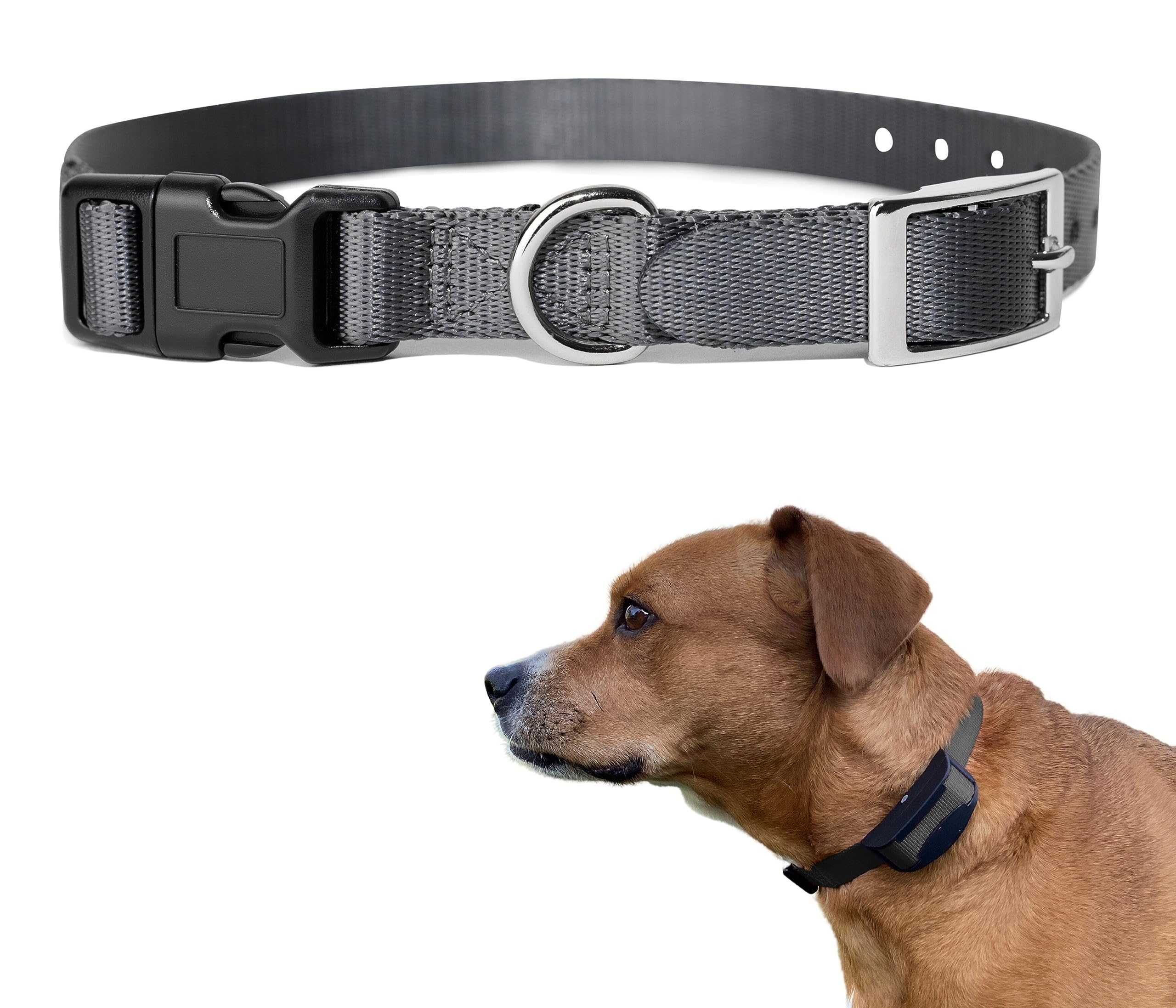 Replacement Strap for e-Collar, Shock Collar, Fence Collar, Compatible with Most Brands (1'', Gray)