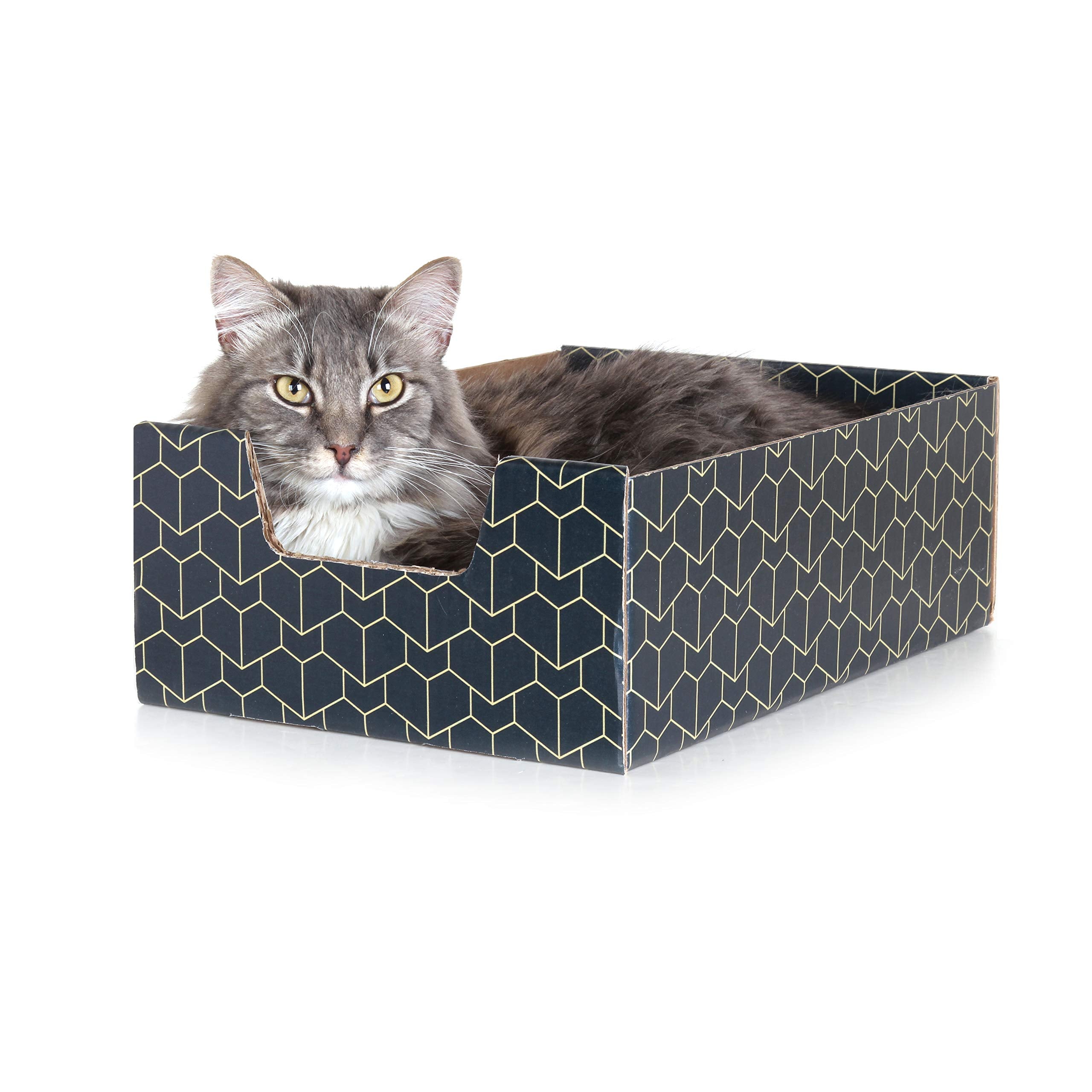 Purrfect Cat Box Lounger With Peek-A-Boo Cutout | Premium Corrugated Cardboard Cat Bed For Relaxation | Interactive Cat Box For Indoor Cats, Blue