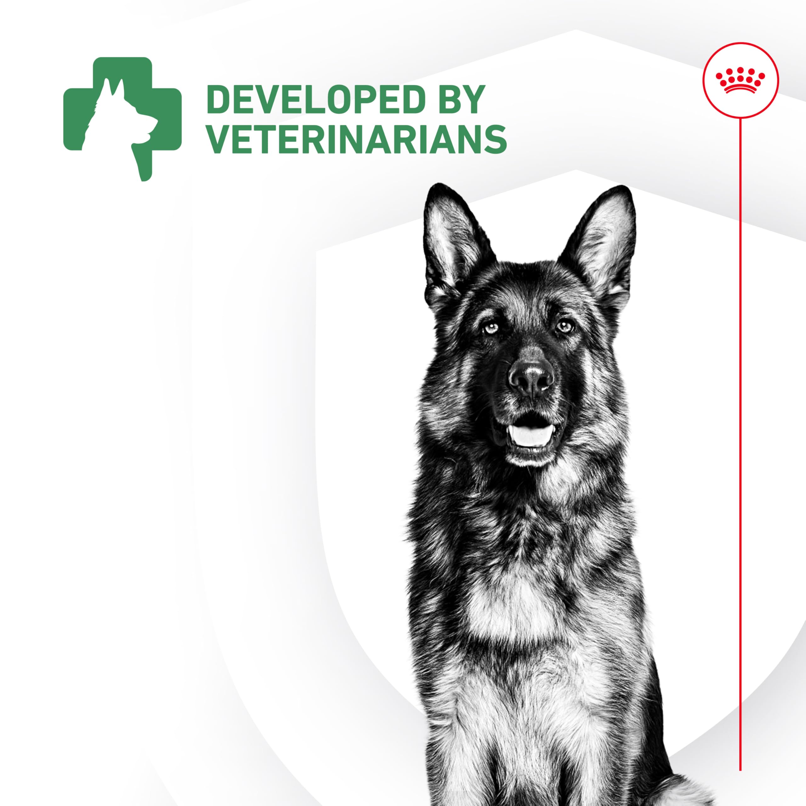 Royal Canin Probiotics for Dogs Digestive and Immune Health Powder Supplement for Dogs of All Ages, 30 Count