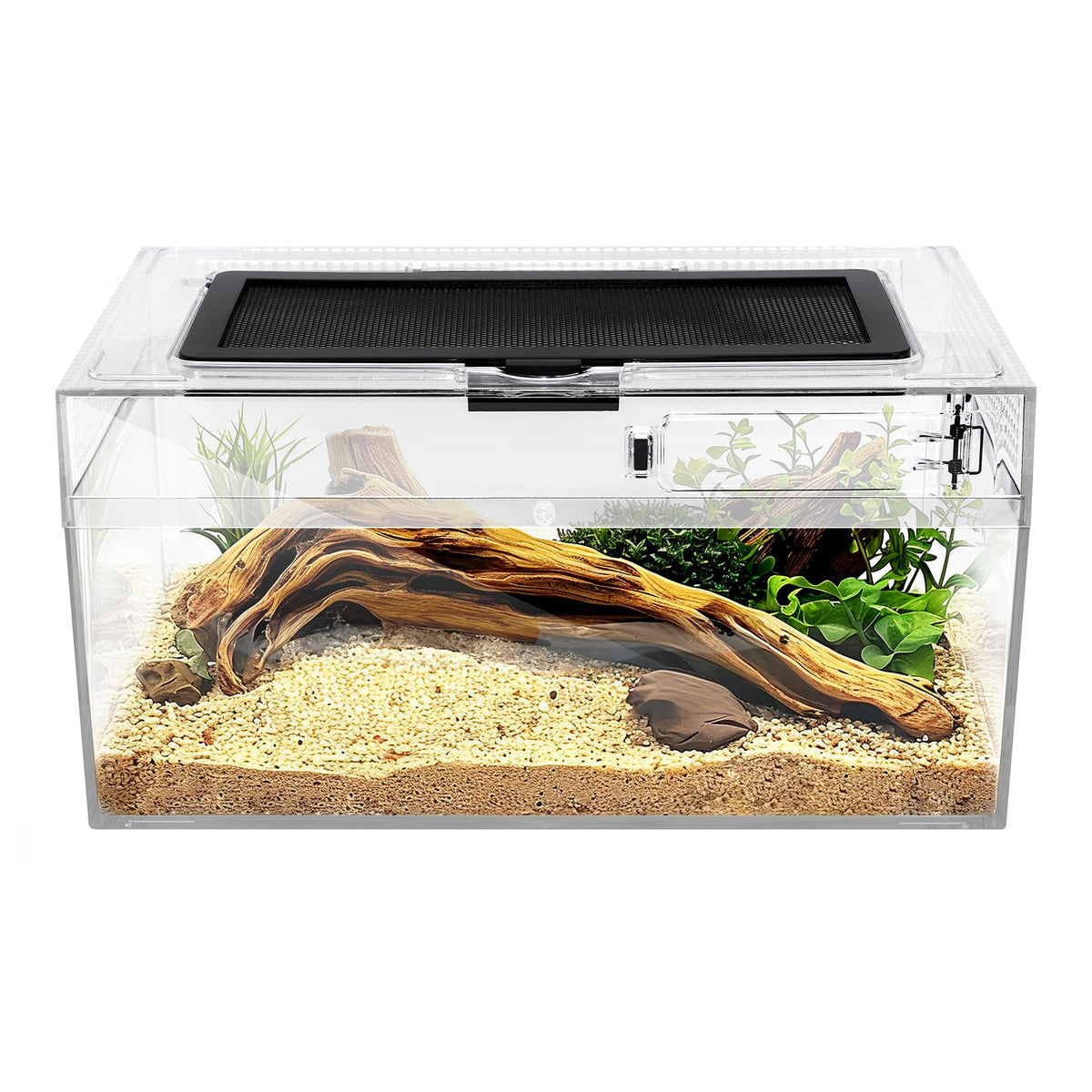 Reptile Terrarium Amphibian Tank Spider Cages Snake Cage 7X11.8X5.9Inch Suitable For Breeding Lizards,Turtles,Chameleons,Jumping