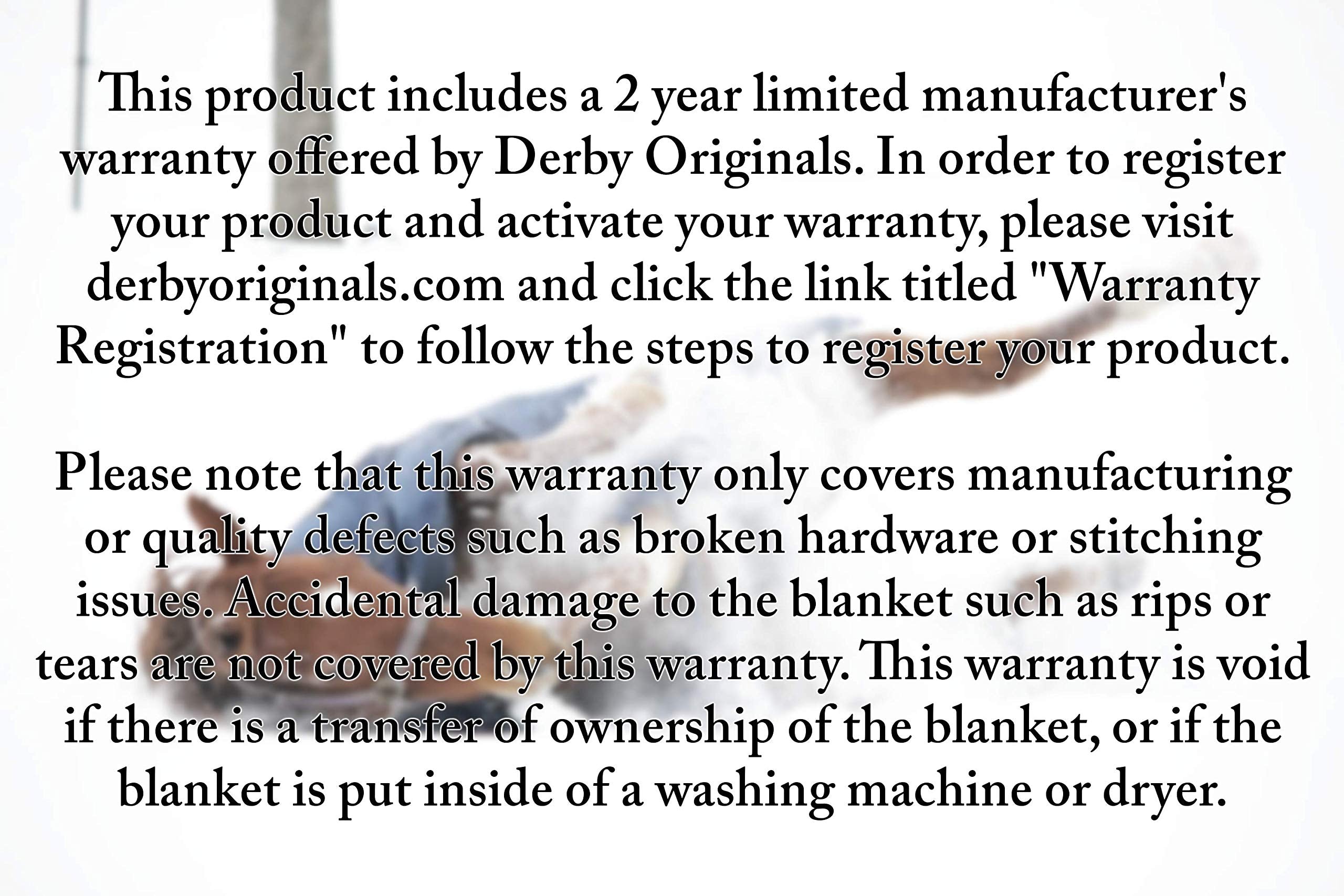 Derby Originals Reflective Safety No Hardware Winter Turnout Blanket for Foals & Mini Horses 1200D Waterproof Ripstop Medium Wei