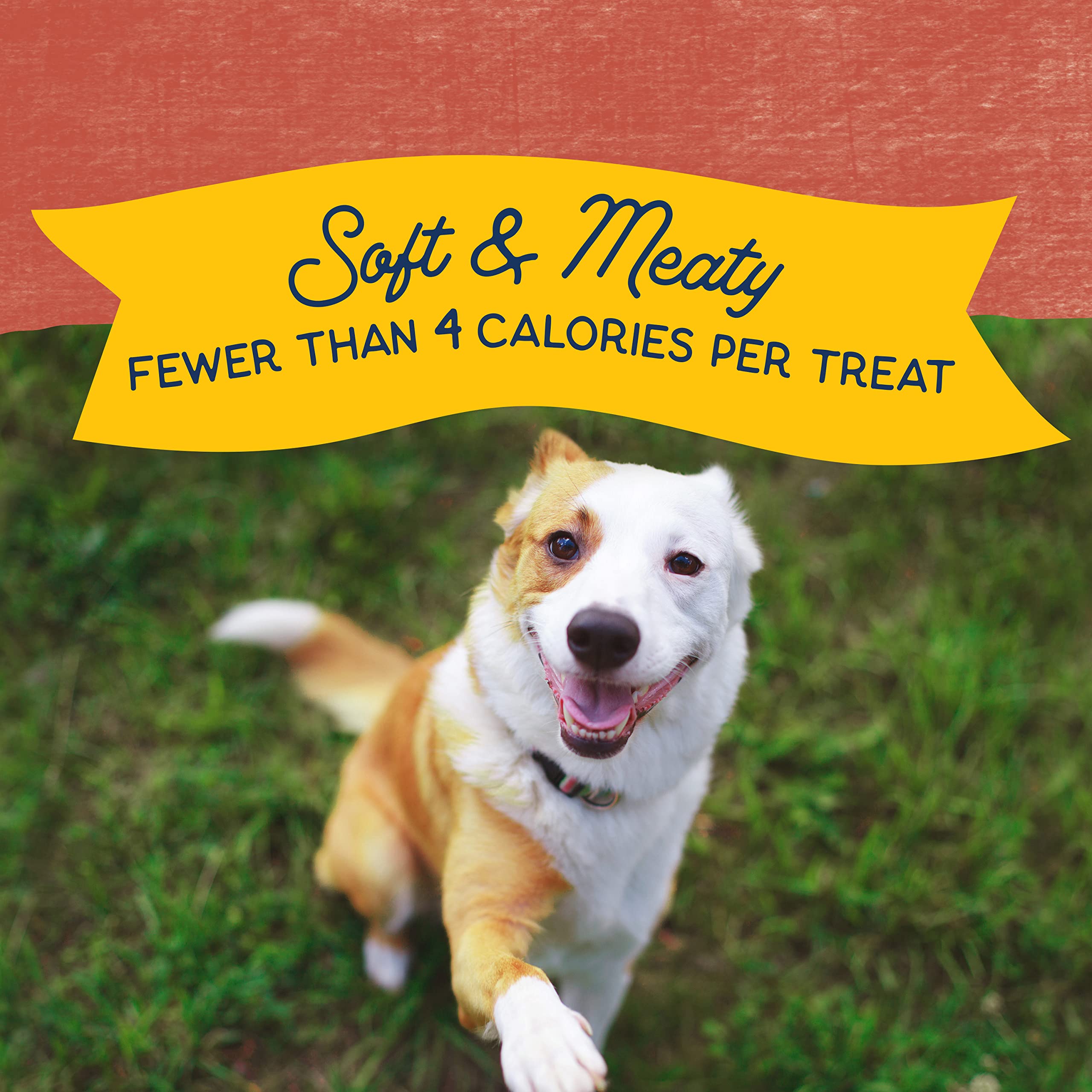 Natural Balance Limited Ingredient Mini-Rewards Salmon Grain-Free Dog Training Treats for Dogs | 5.3 Ounce (Pack of 1), Canister