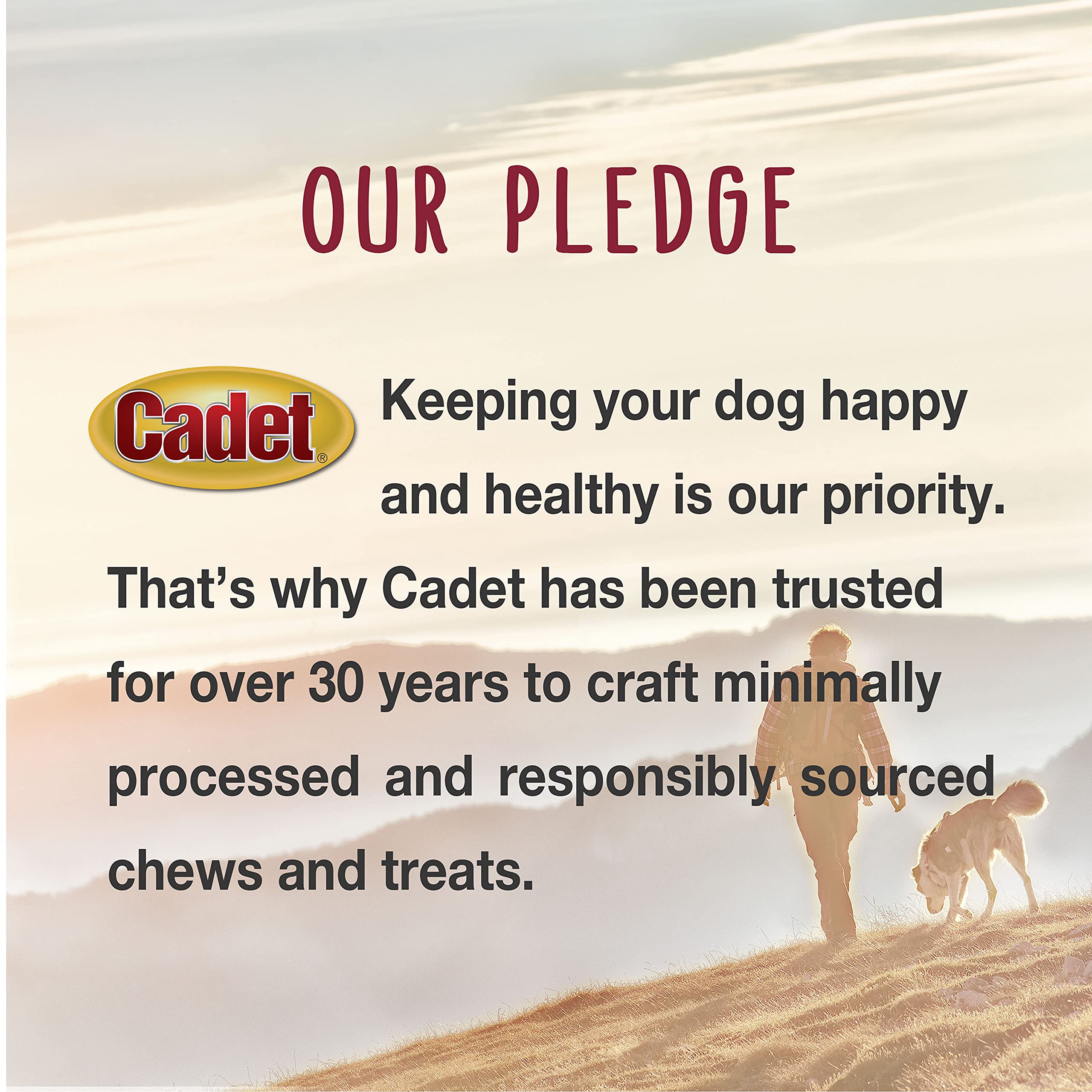Cadet Gourmet Shish Kabob Dog Treats for Large Dogs, Healthy & Natural Chicken & Sweet Potato Chew Sticks, Pork Hide, Extra Larg